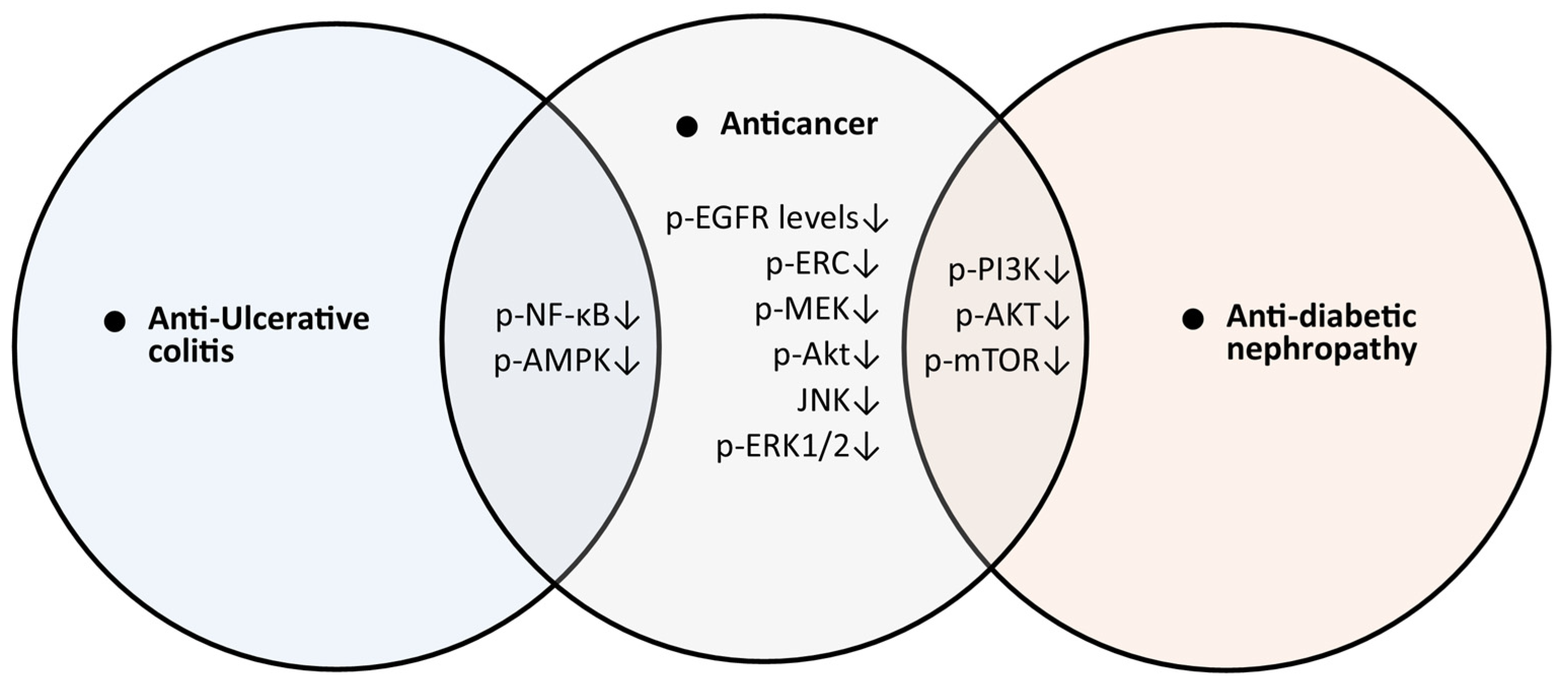 Molecules 30 00383 g002
