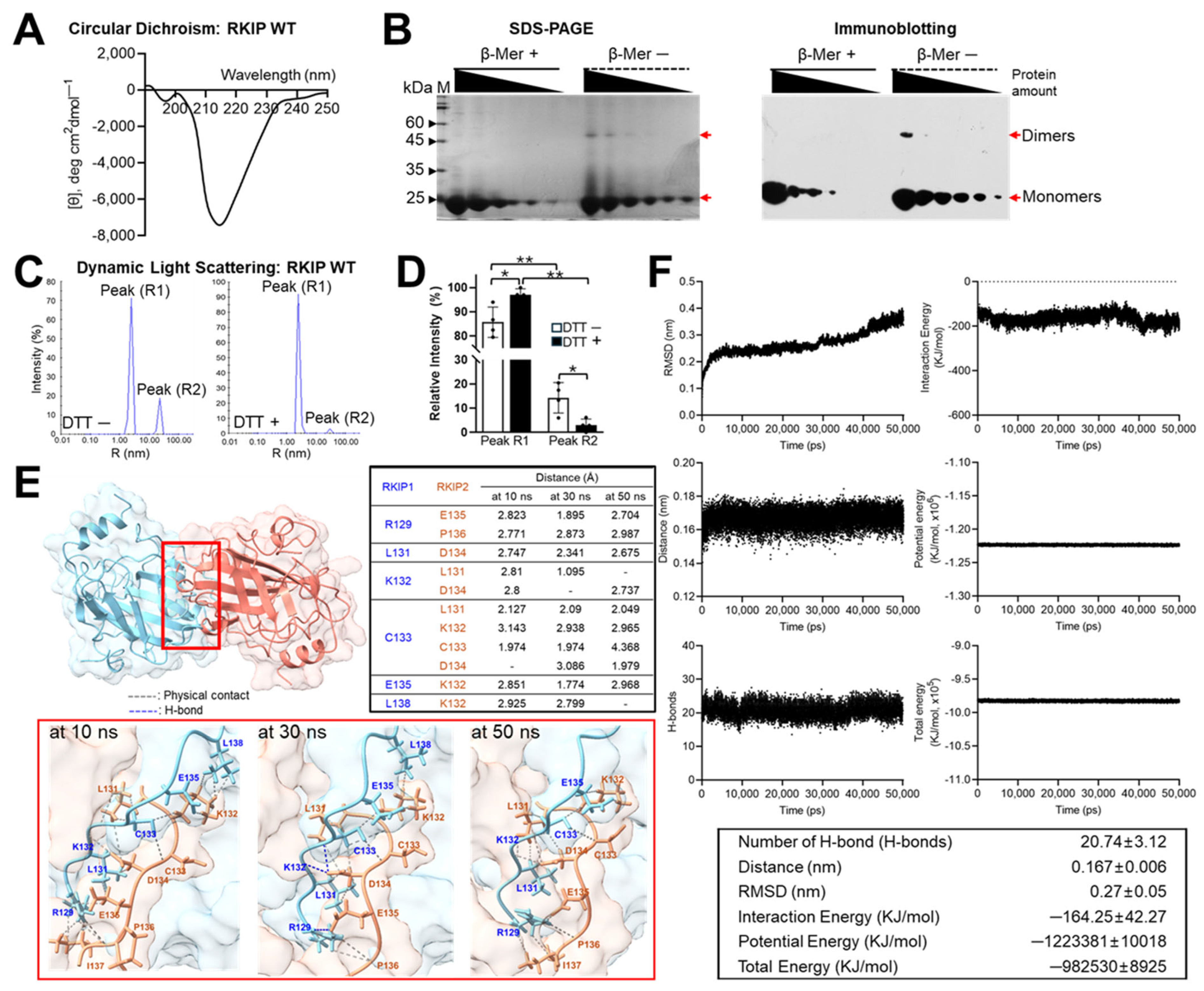 Molecules 30 00384 g001