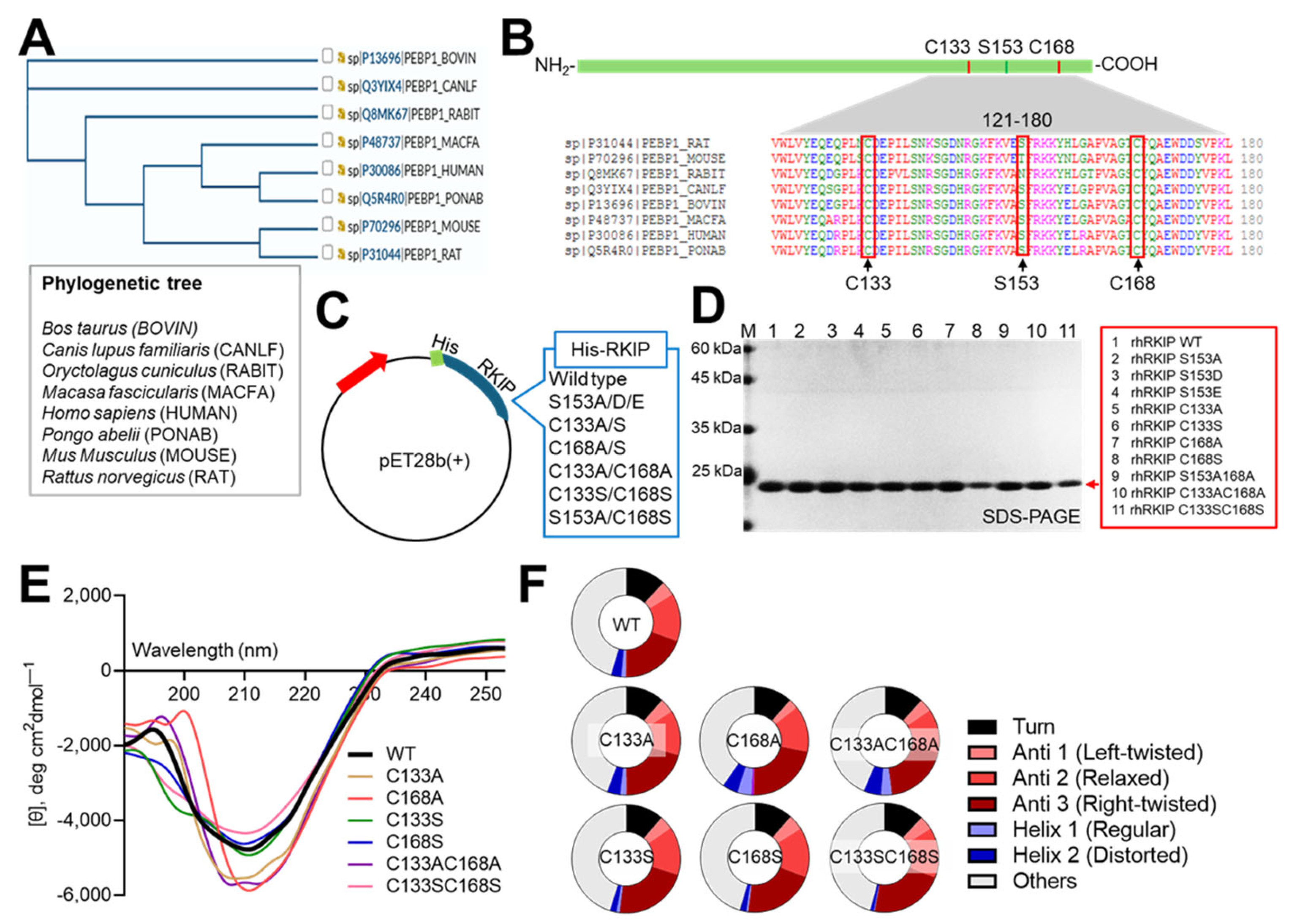 Molecules 30 00384 g002