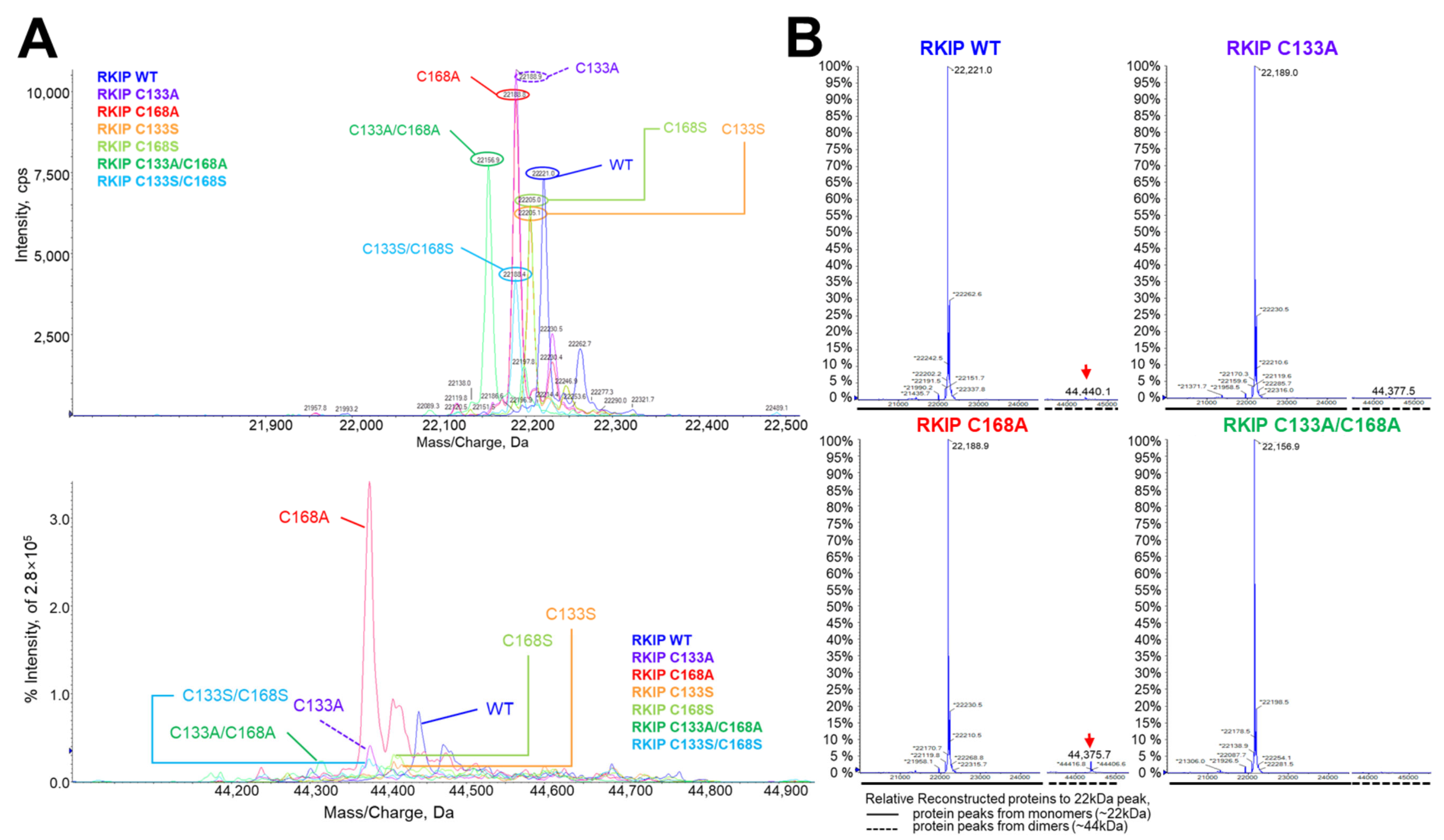 Molecules 30 00384 g003