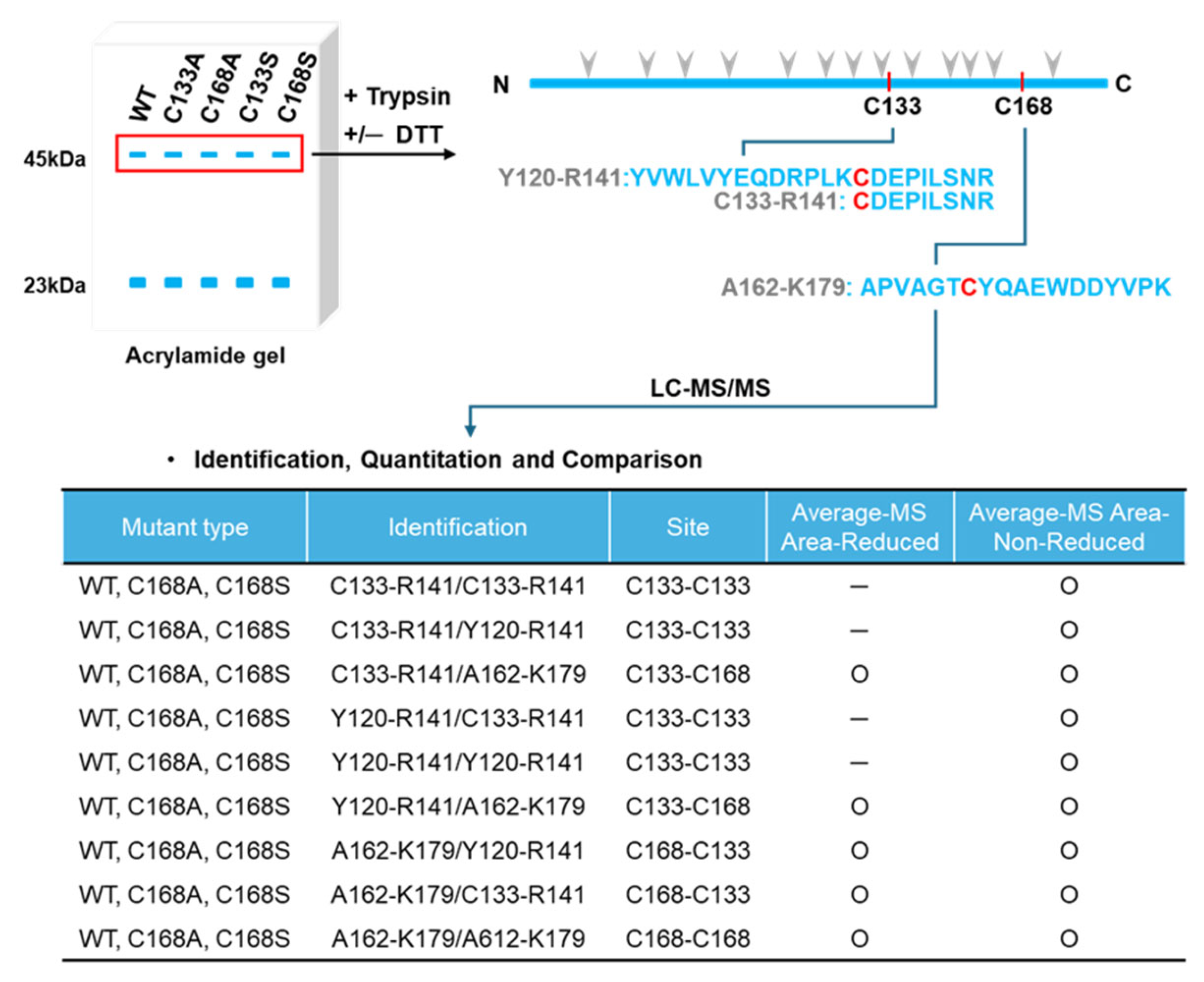 Molecules 30 00384 g004