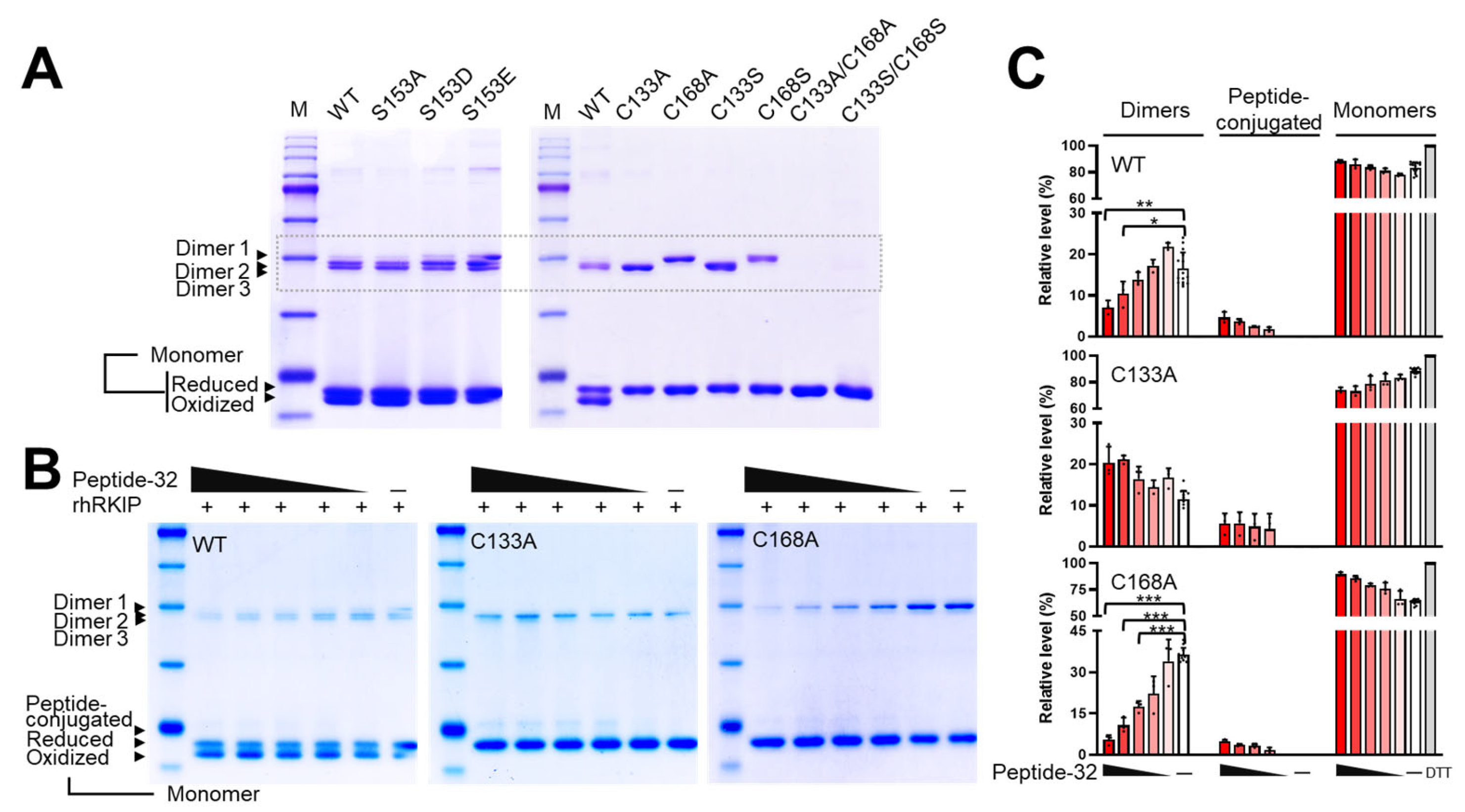 Molecules 30 00384 g005