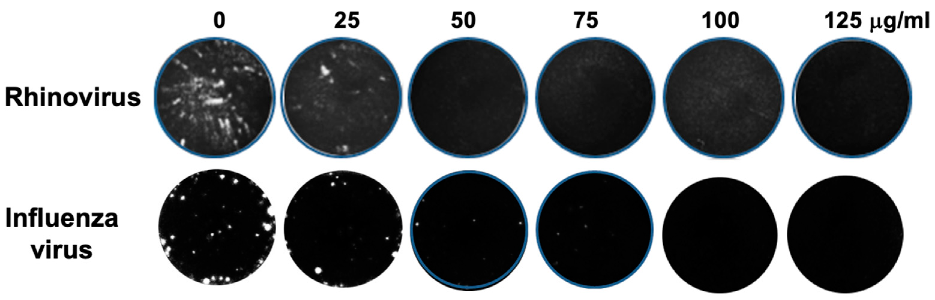 Molecules 30 00386 g001