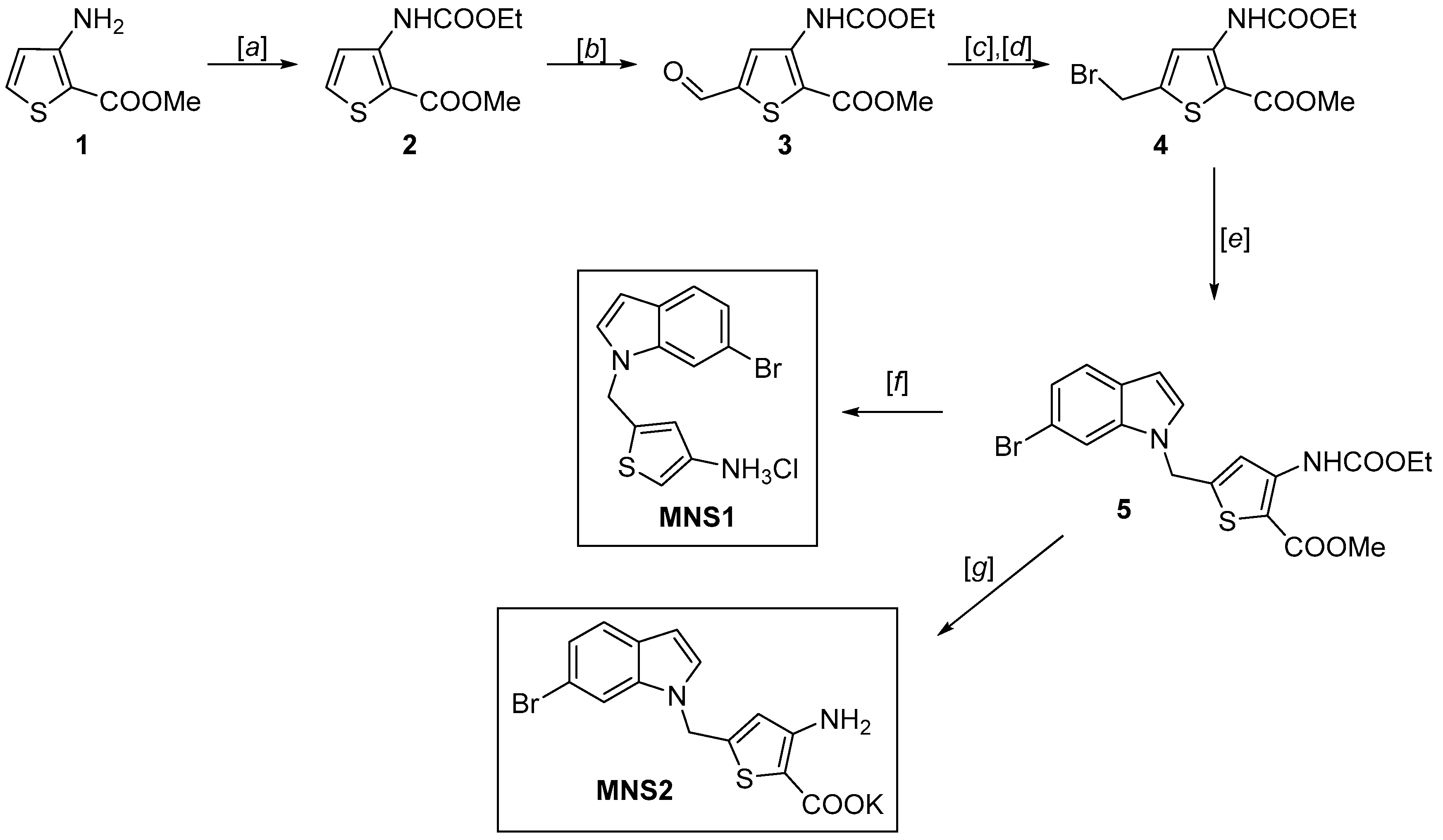 Molecules 30 00388 sch001