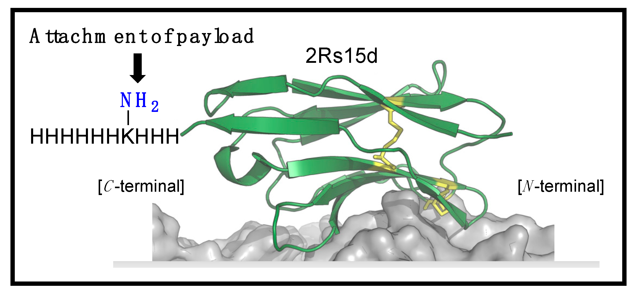 Molecules 30 00391 g001