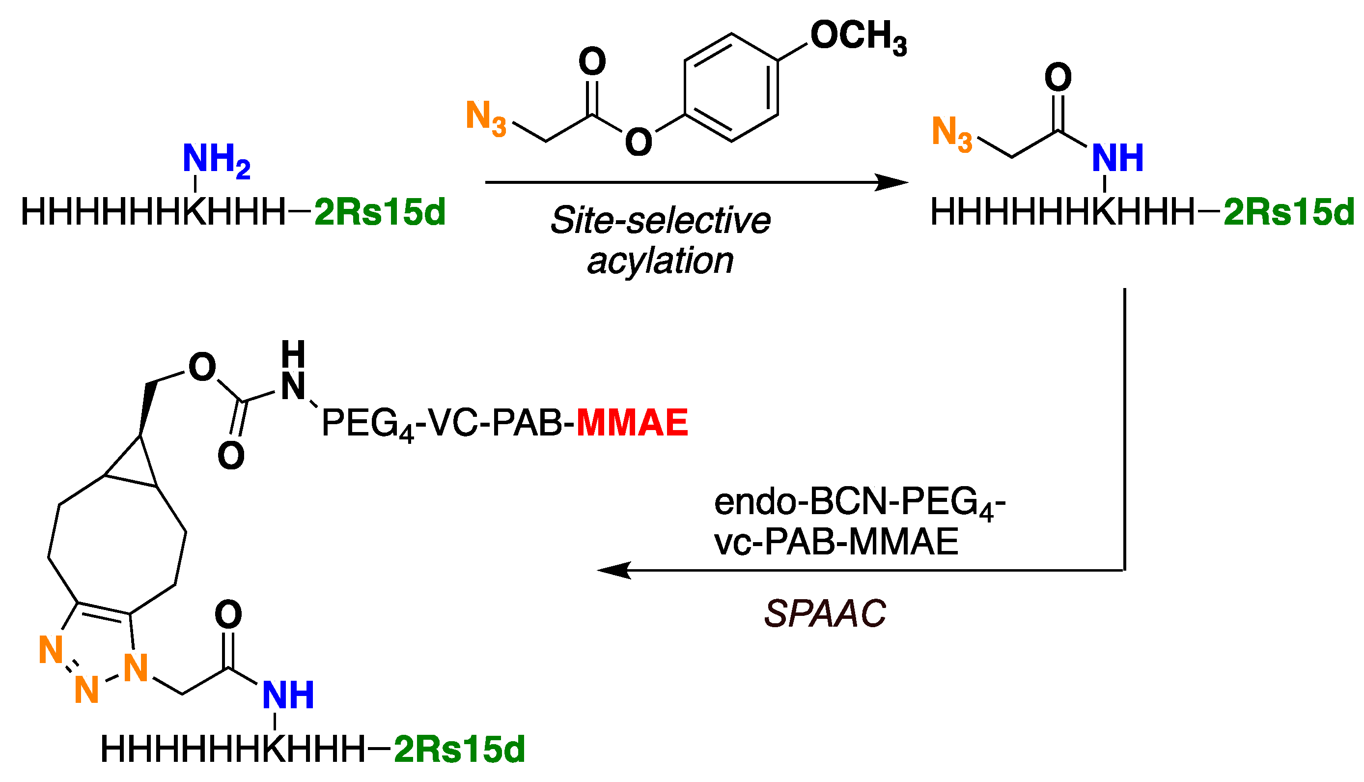 Molecules 30 00391 g002