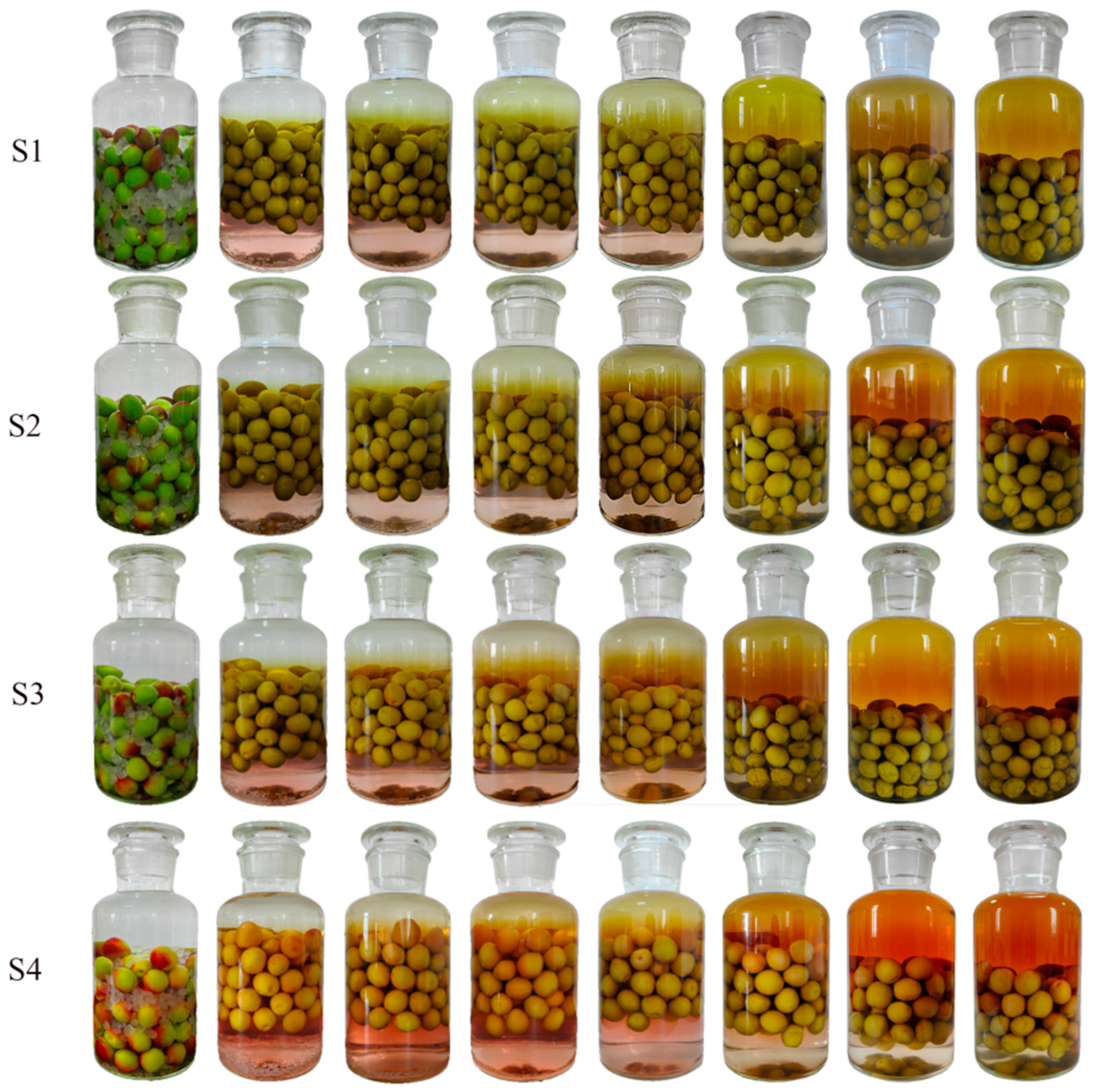 Molecules 30 00392 g002
