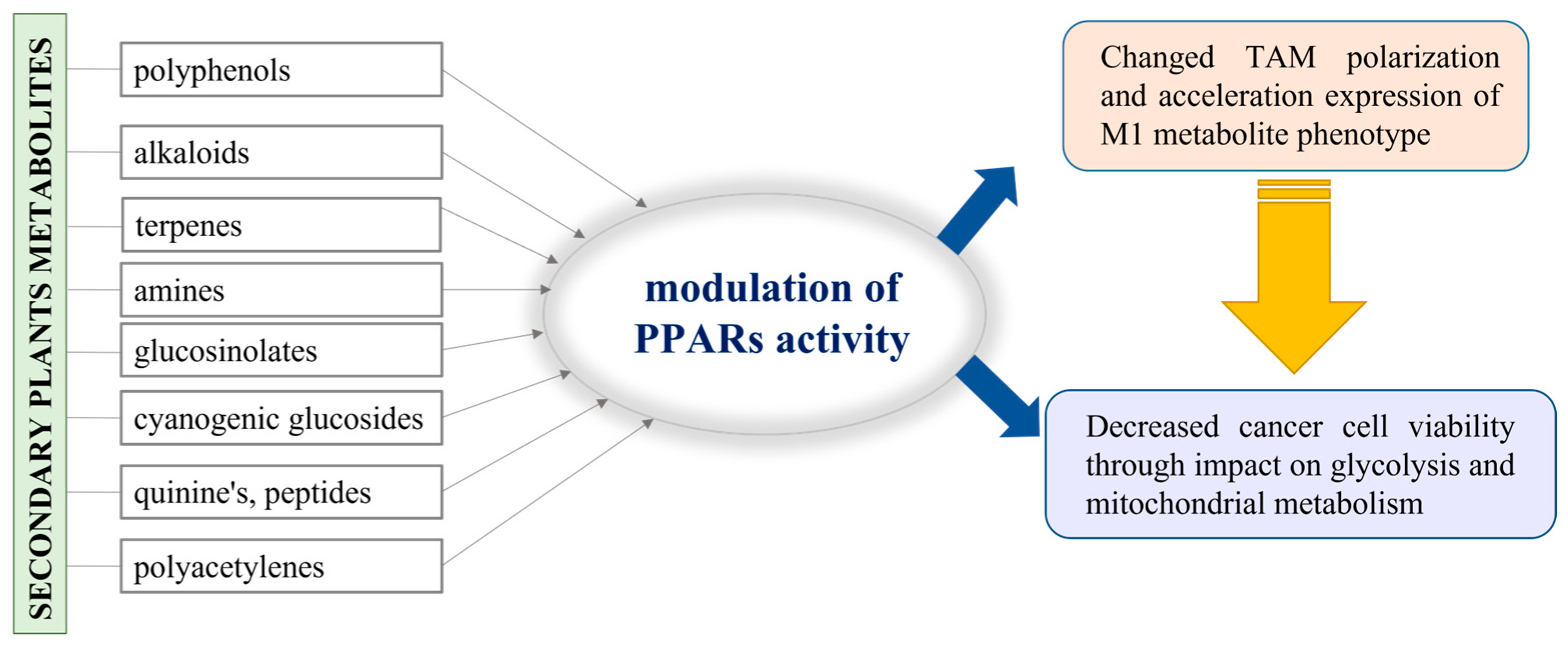 Molecules 30 00393 g004