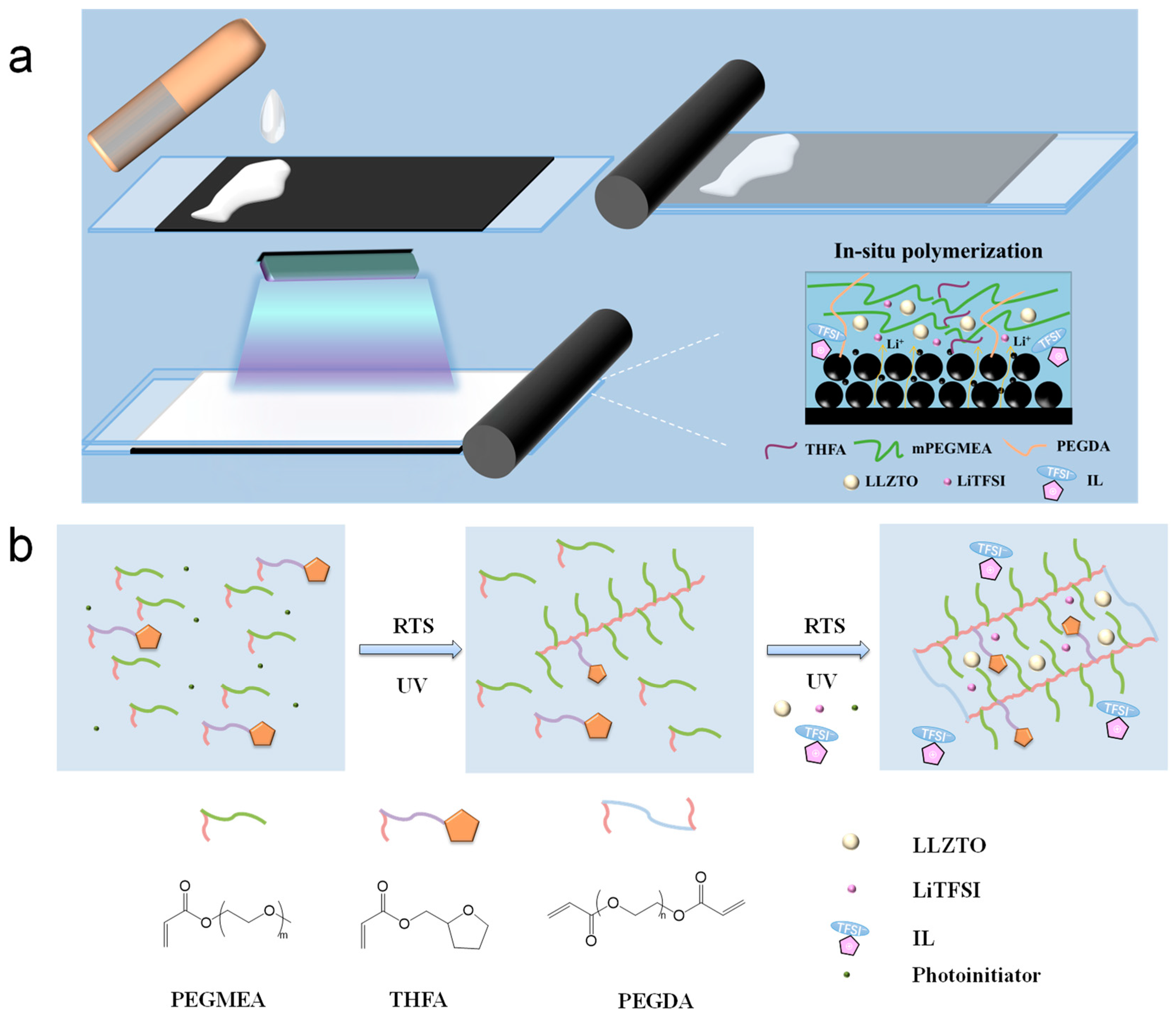 Molecules 30 00395 g001