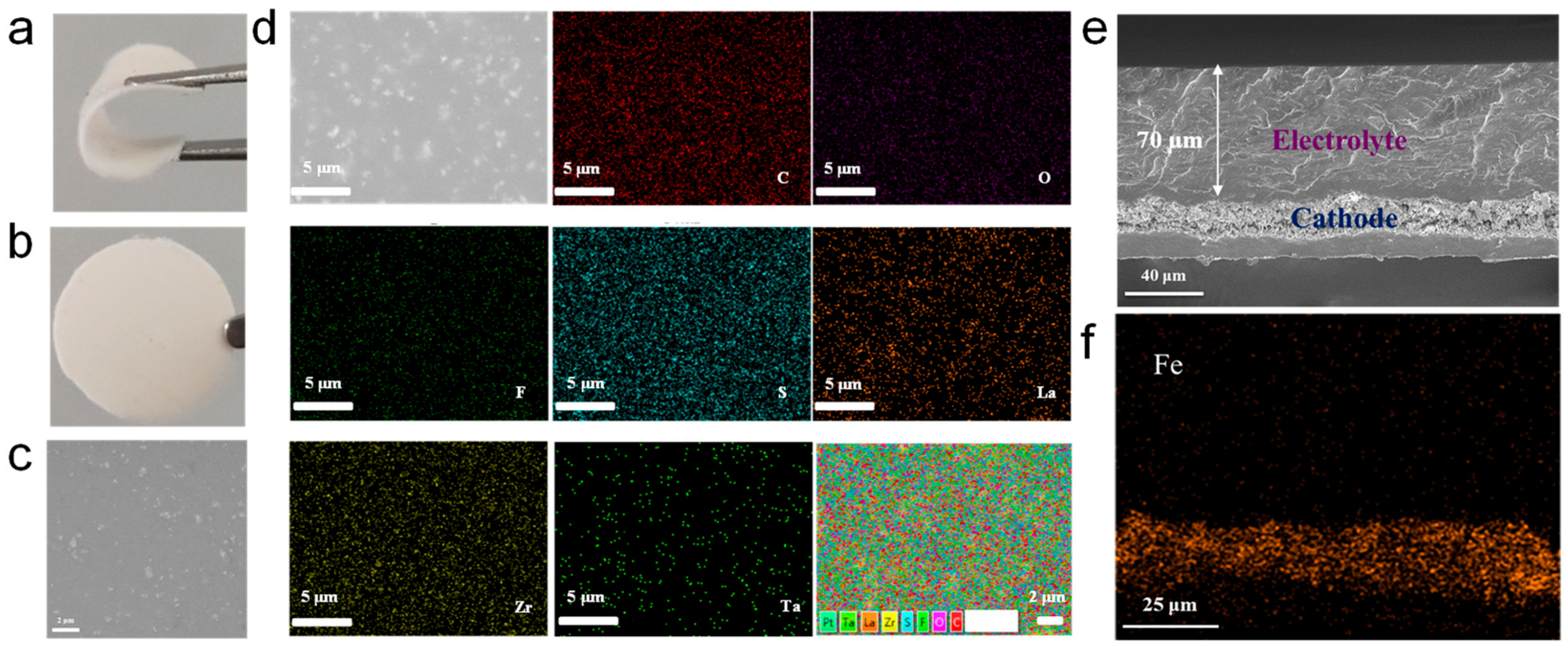 Molecules 30 00395 g002