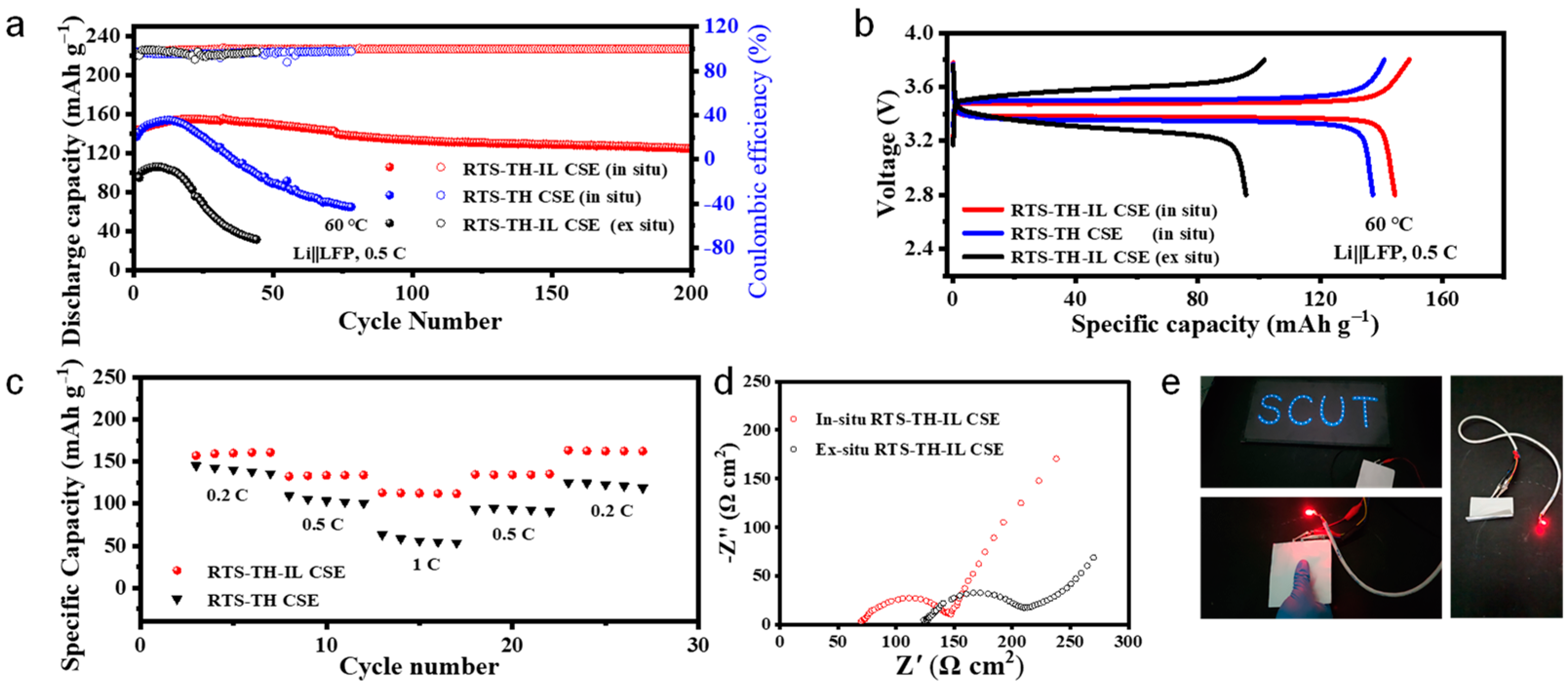 Molecules 30 00395 g005