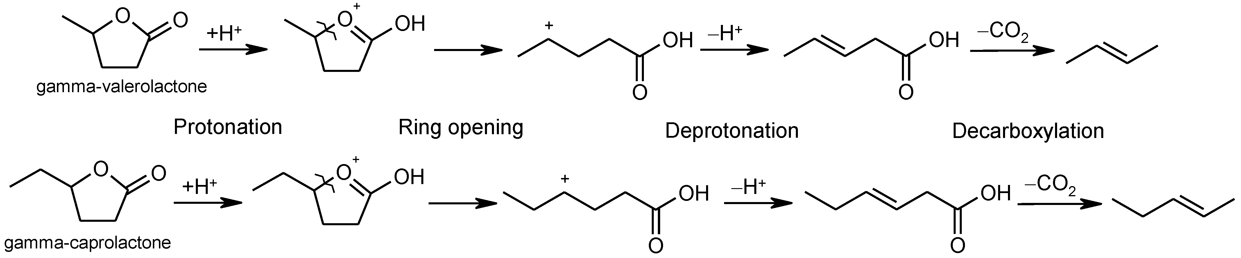 Molecules 30 00399 g006