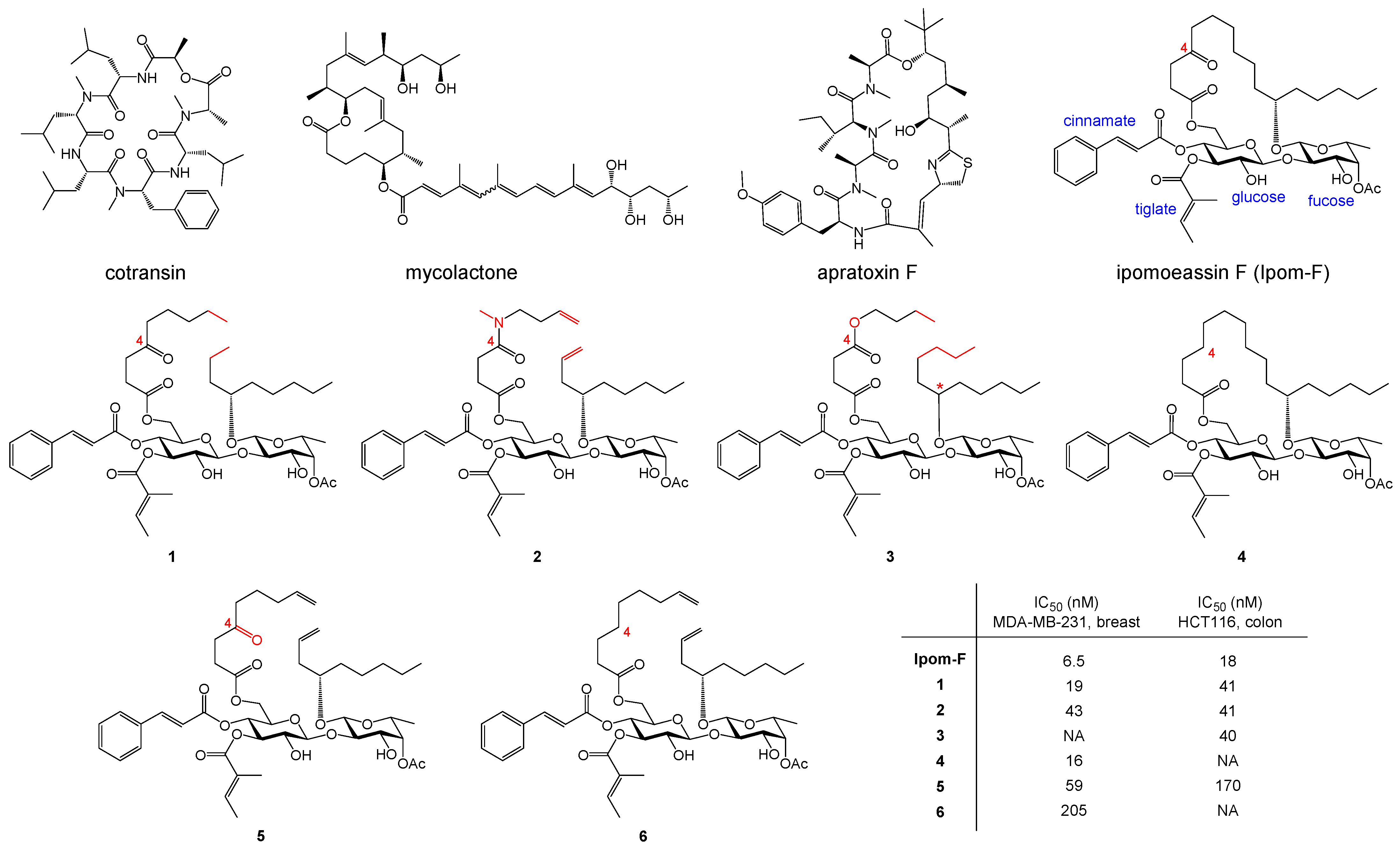 Molecules 30 00400 g001