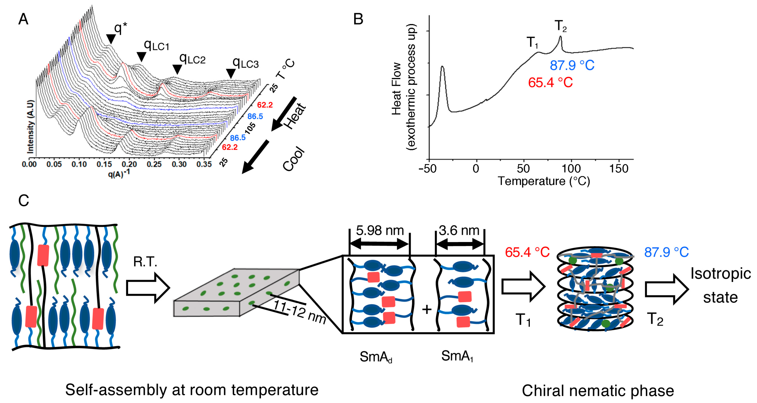 Molecules 30 00401 g001 Molecules 30 00401 g001