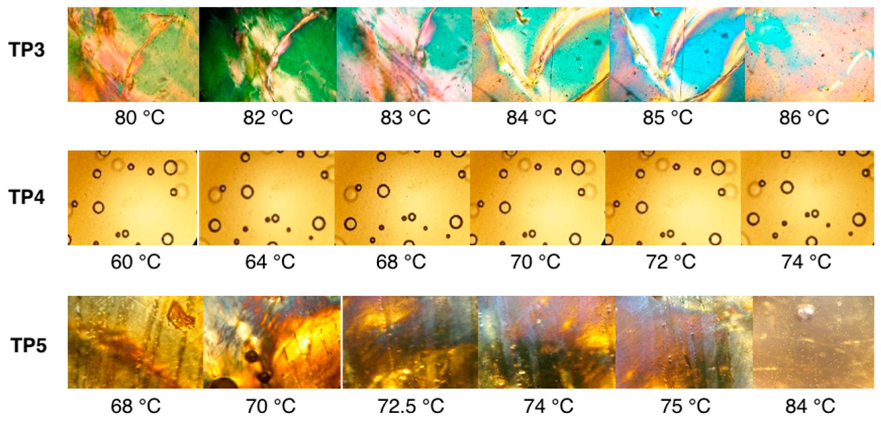 Molecules 30 00401 g002 Molecules 30 00401 g002
