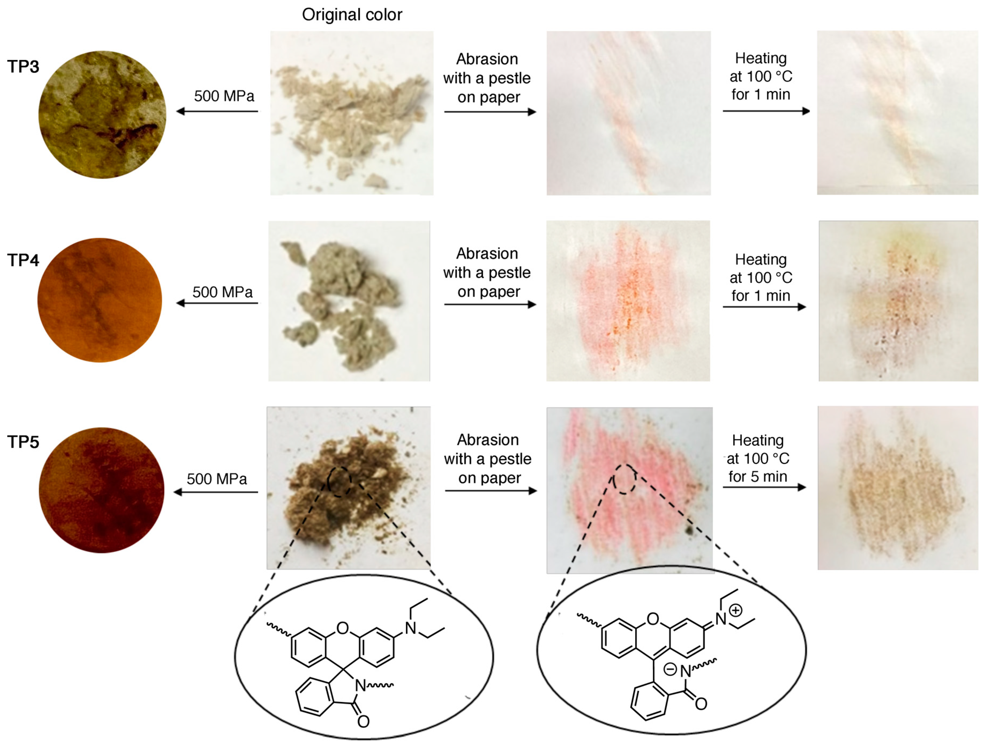 Molecules 30 00401 g005 Molecules 30 00401 g005