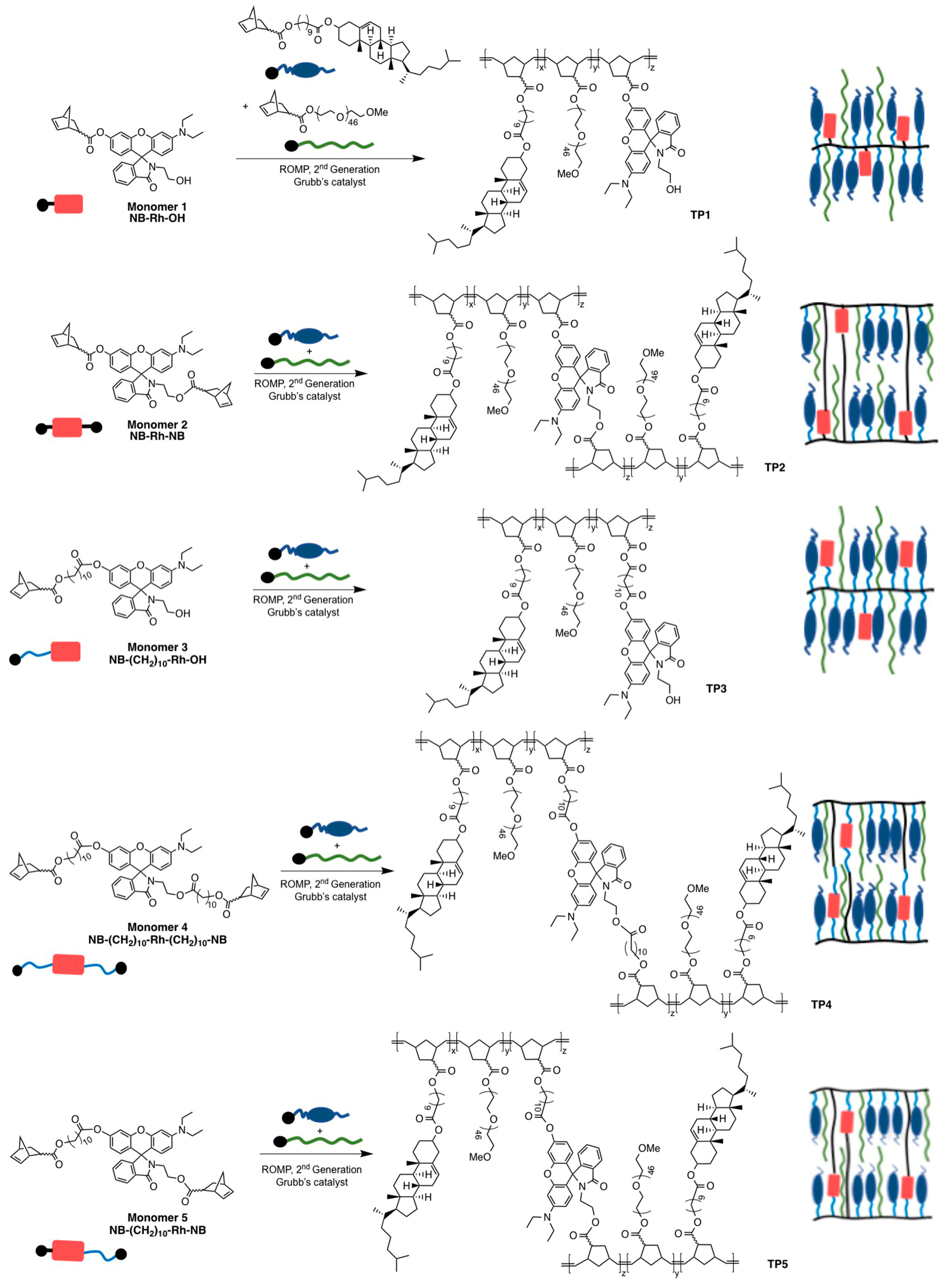 Molecules 30 00401 sch001 Molecules 30 00401 sch001