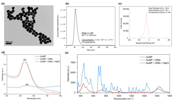 Label-Free Surface-Enhanced Raman Scattering for Genomic DNA