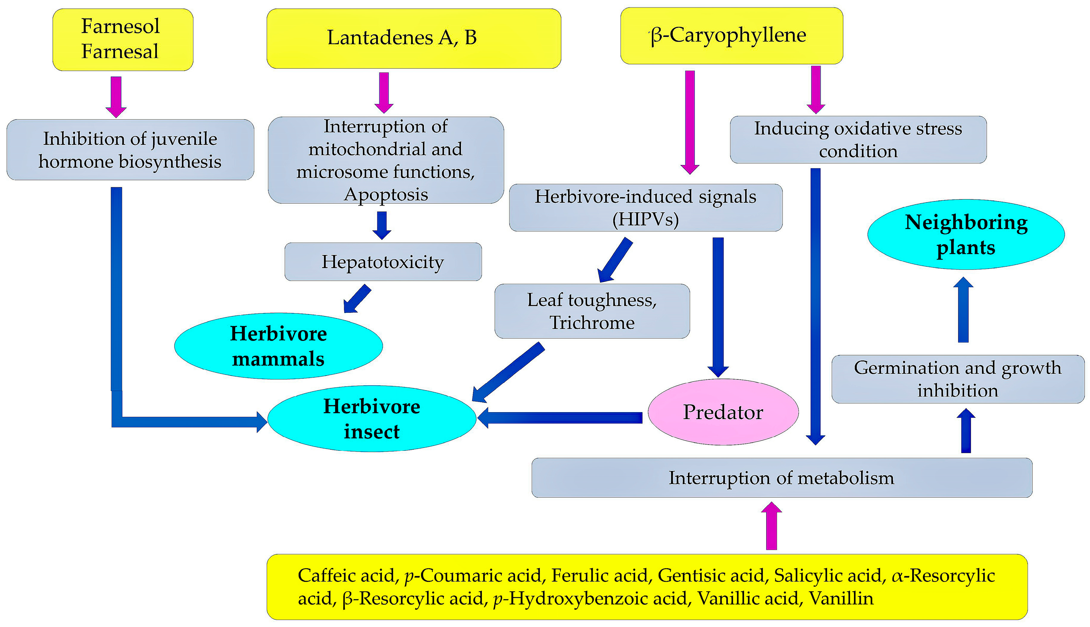 Molecules 30 00411 g008