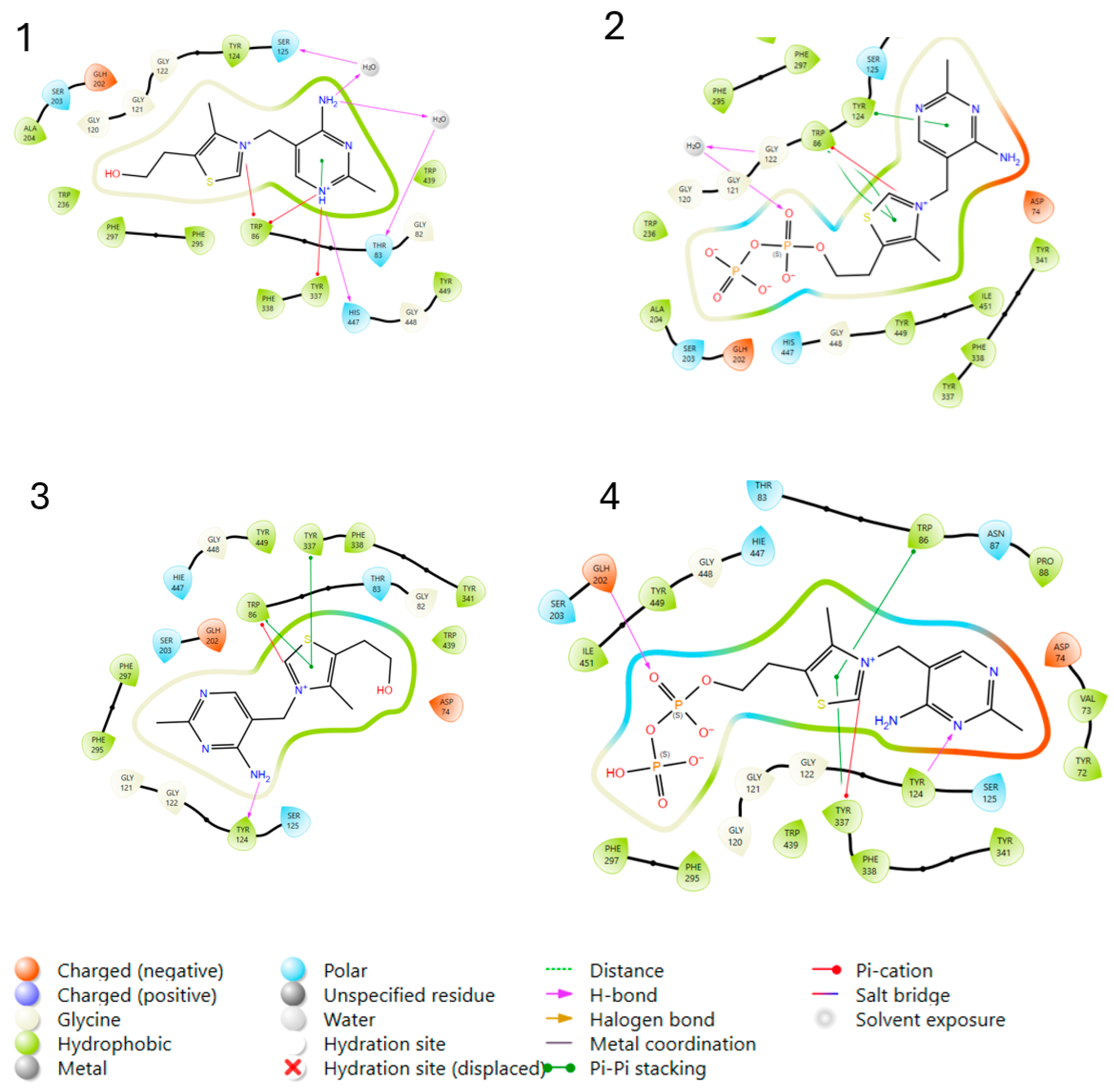 Molecules 30 00412 g003