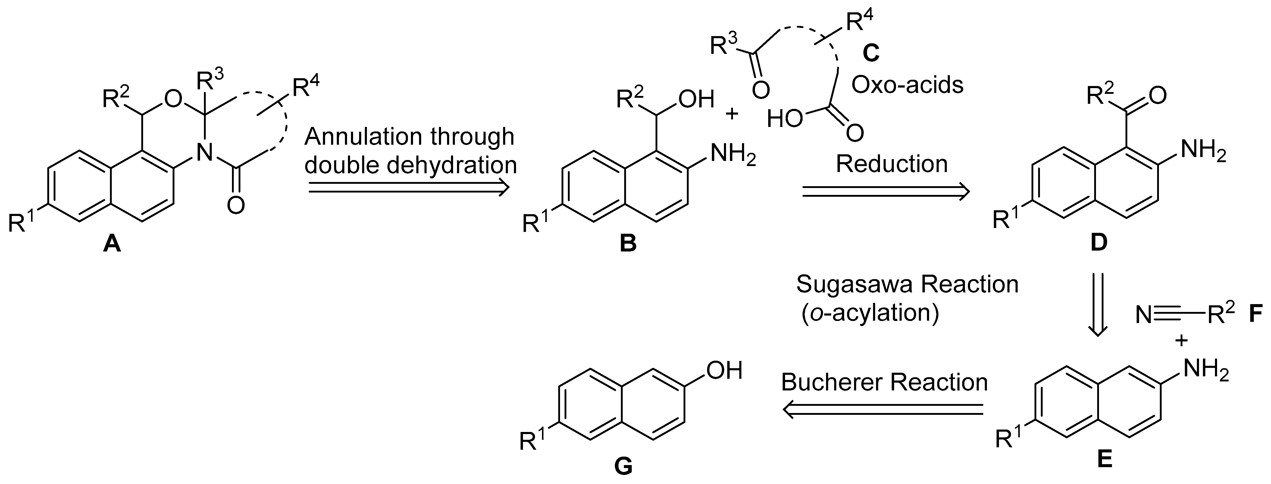 Molecules 30 00415 sch001