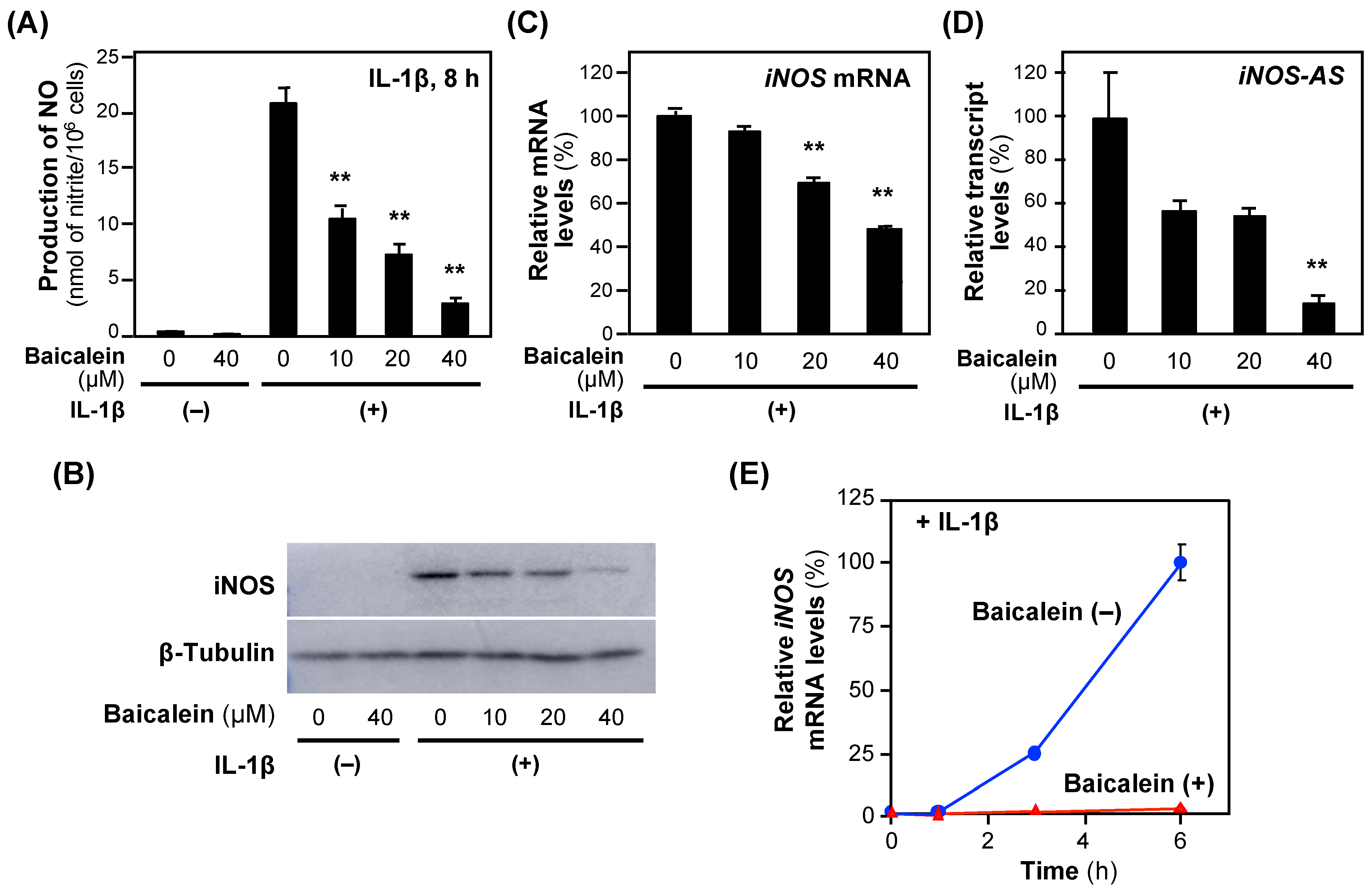 Molecules 30 00416 g003 Molecules 30 00416 g003