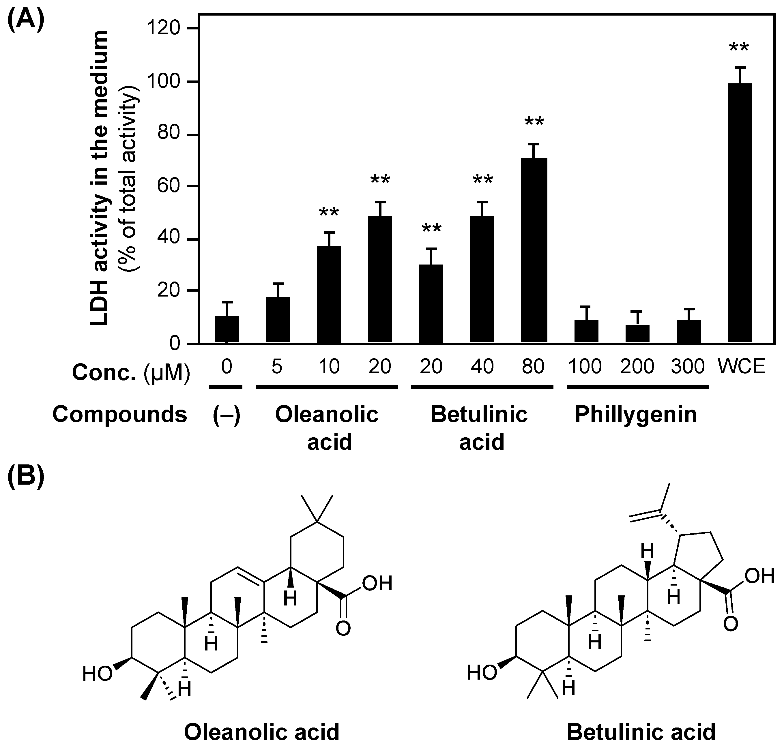 Molecules 30 00416 g006 Molecules 30 00416 g006