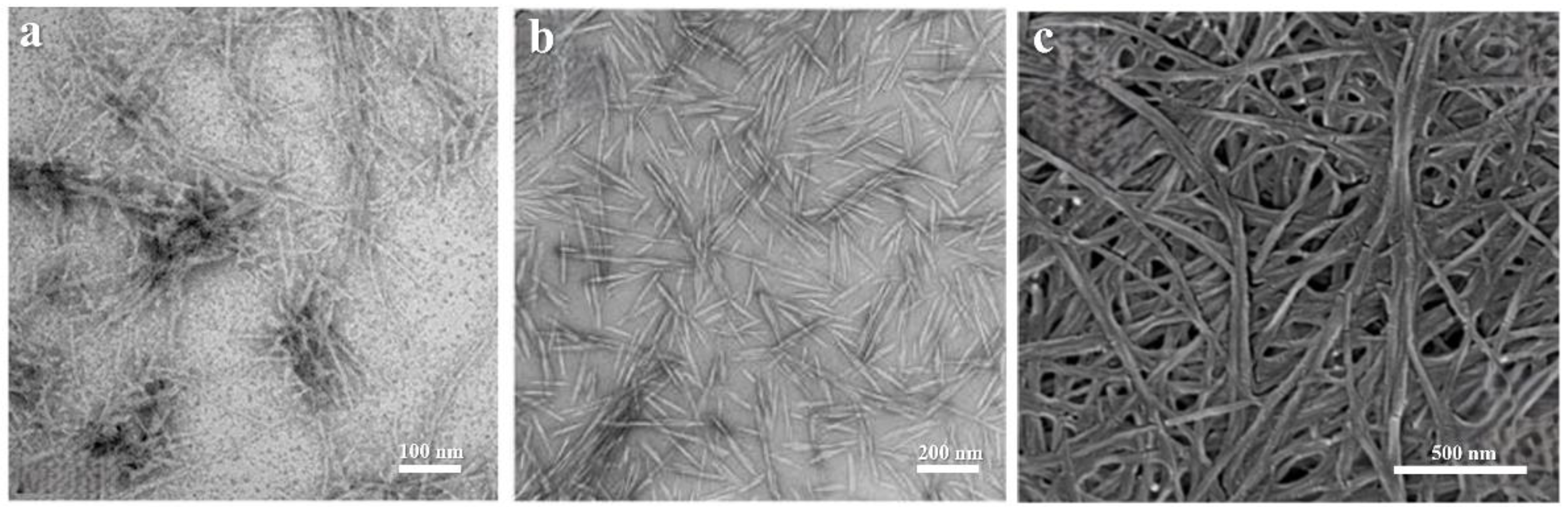 Molecules 30 00417 g001
