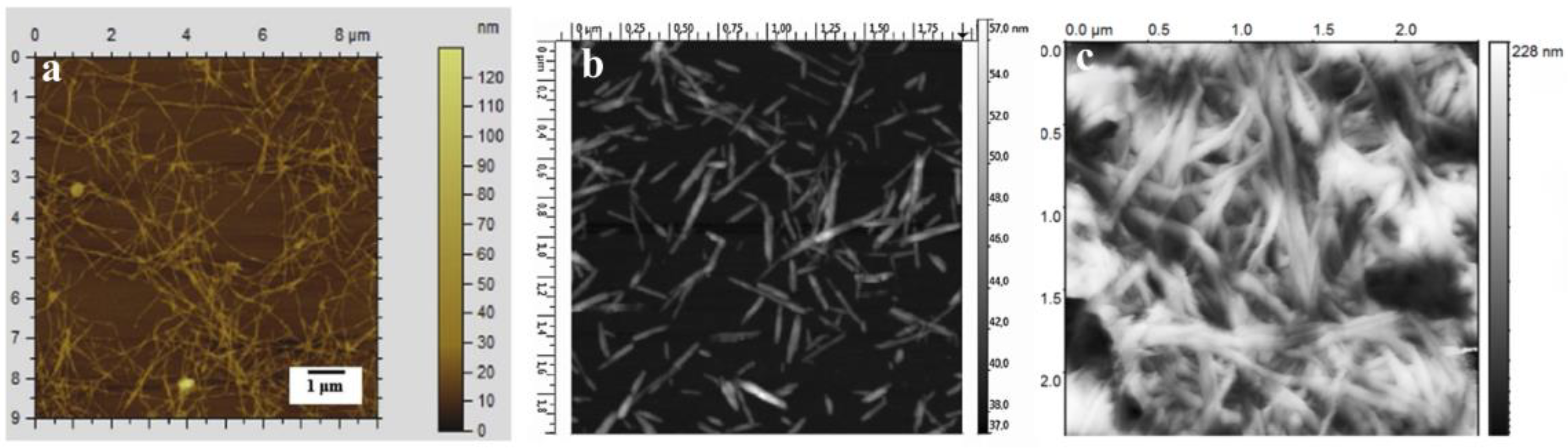 Molecules 30 00417 g002