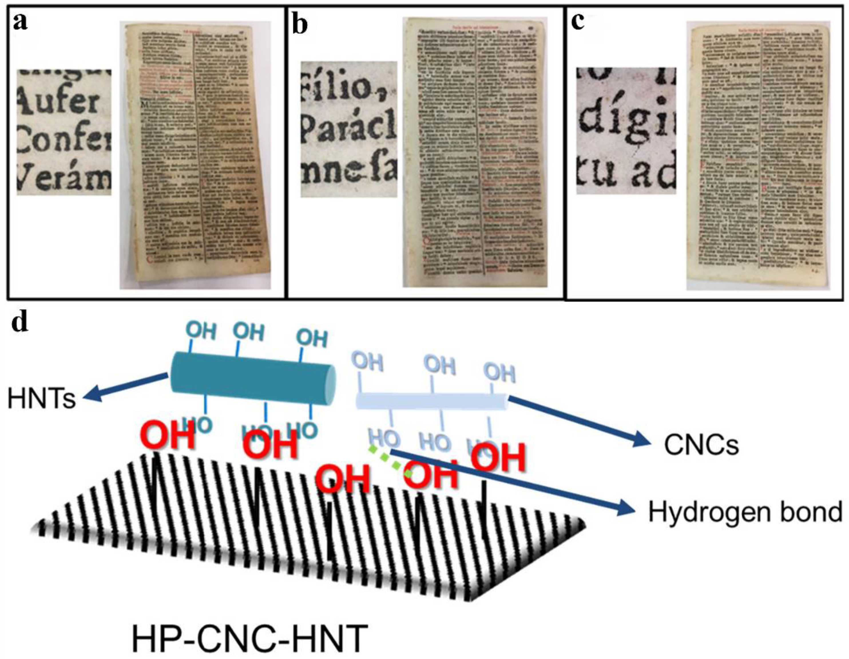 Molecules 30 00417 g005