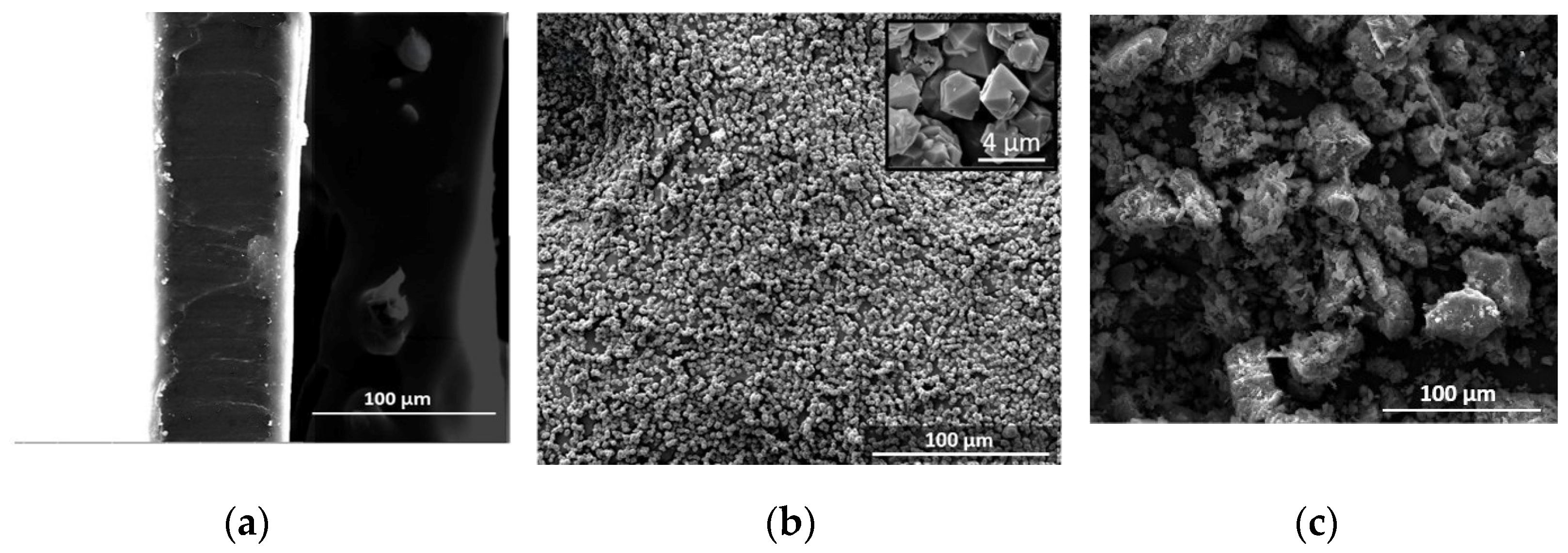 Molecules 30 00420 g002a