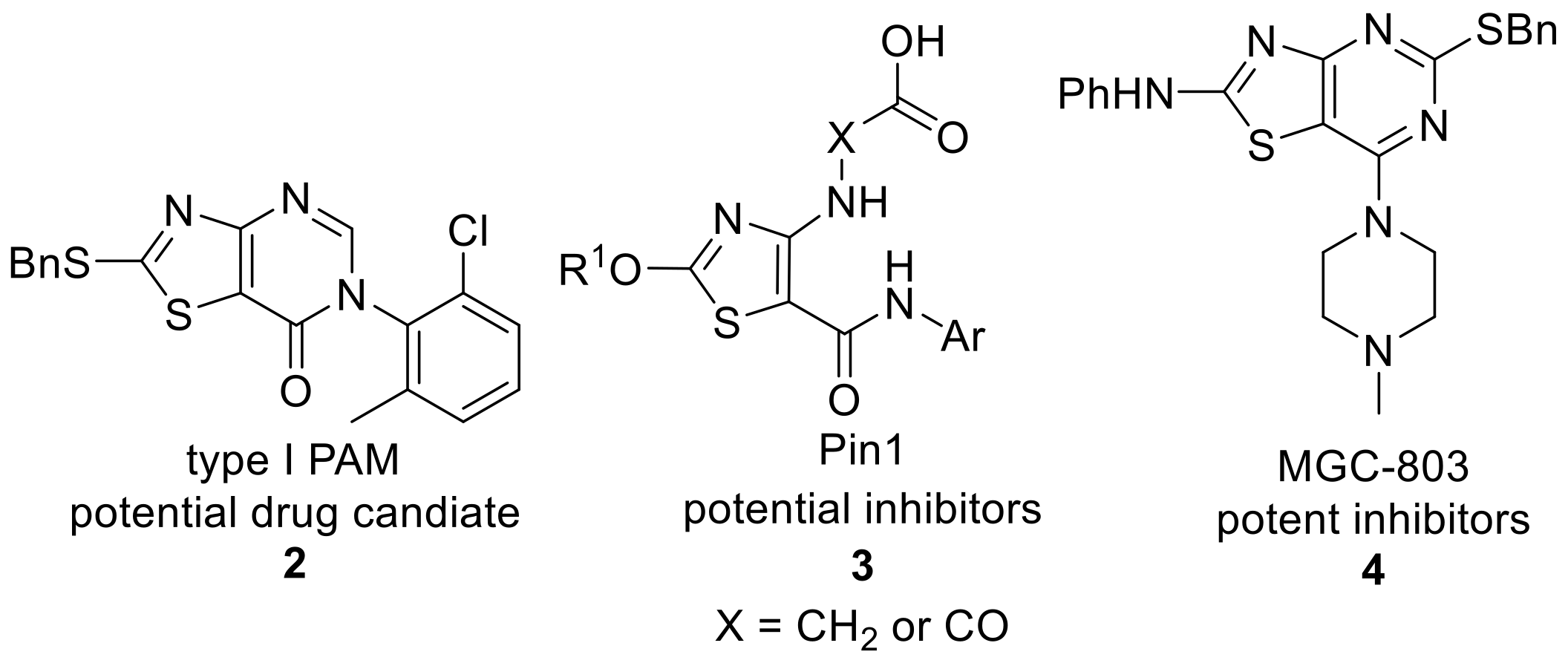 Molecules 30 00430 g001