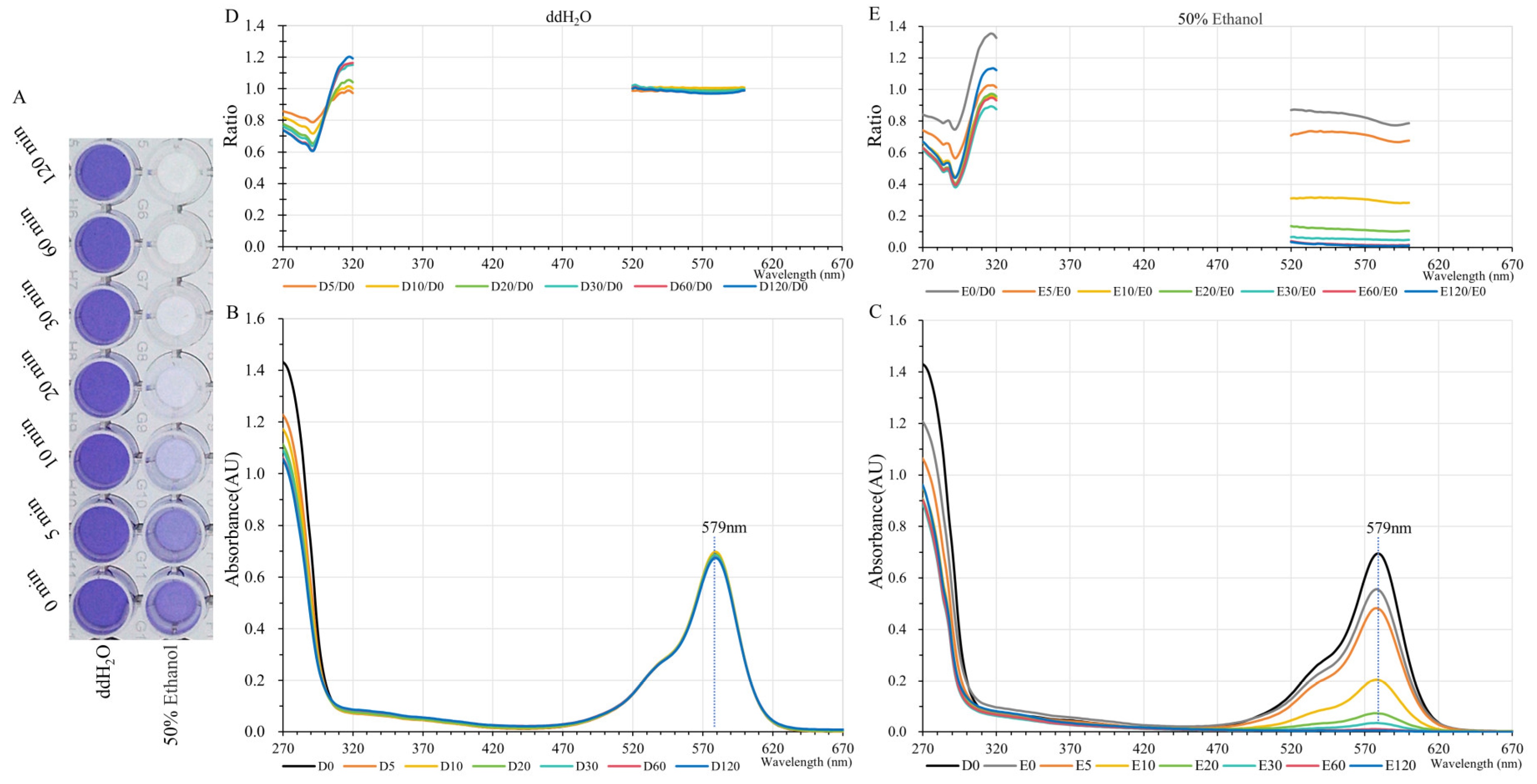 Molecules 30 00432 g004
