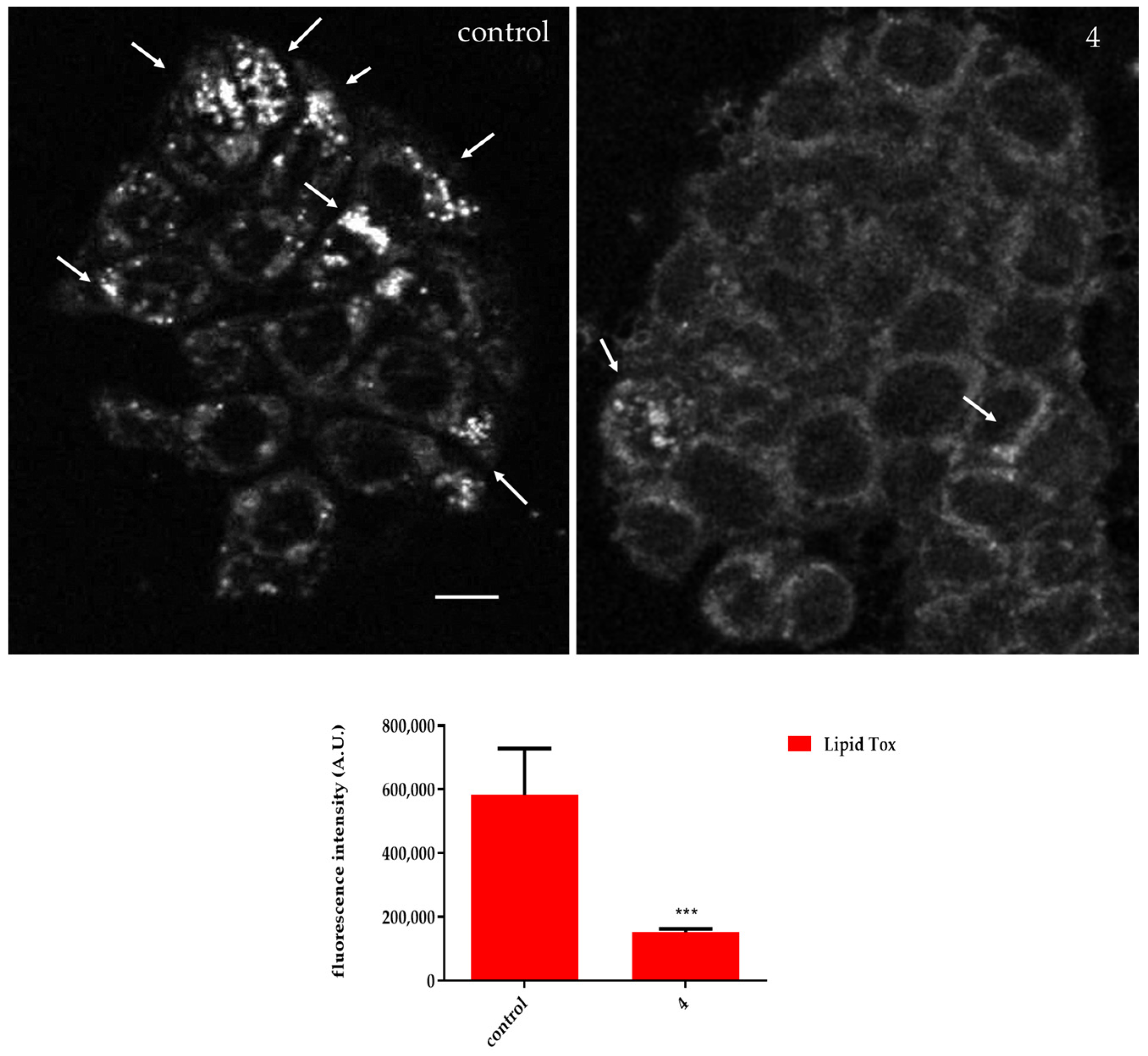 Molecules 30 00440 g005