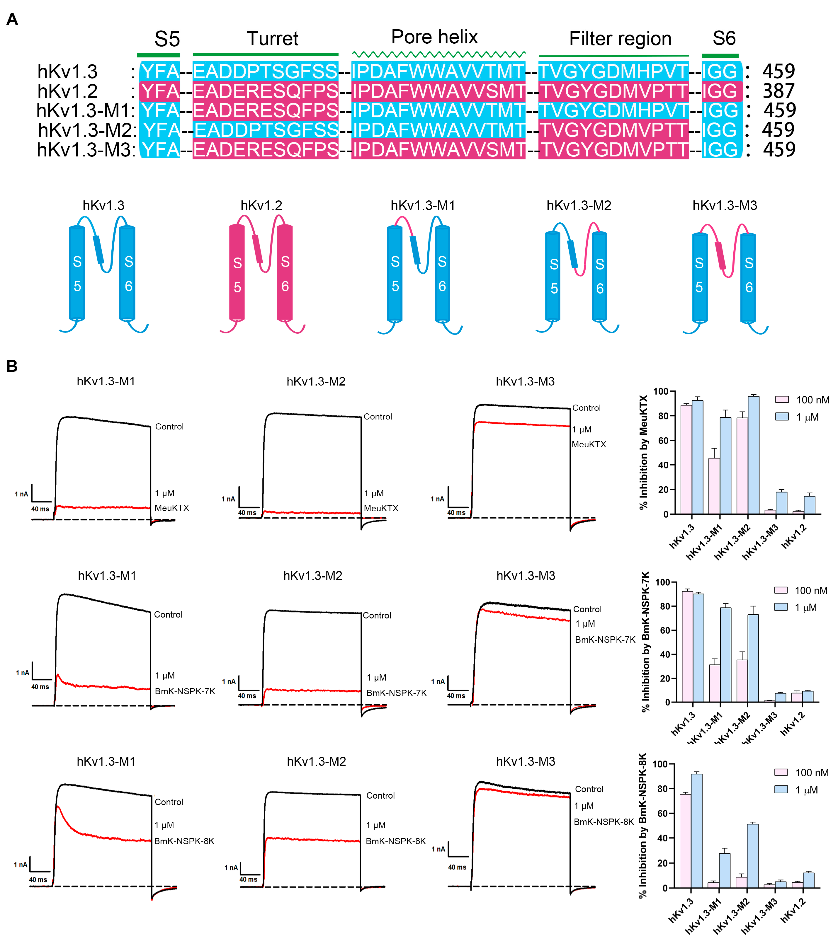 Molecules 30 00450 g006