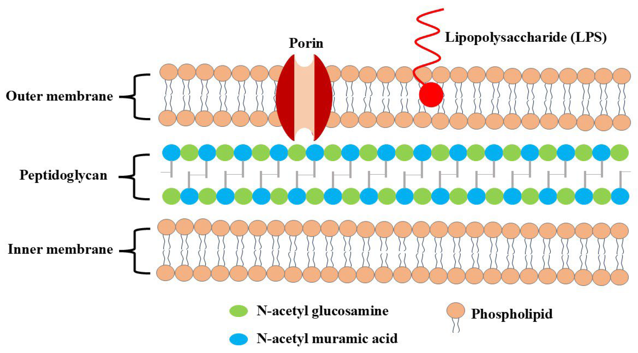 Molecules 30 00455 g003