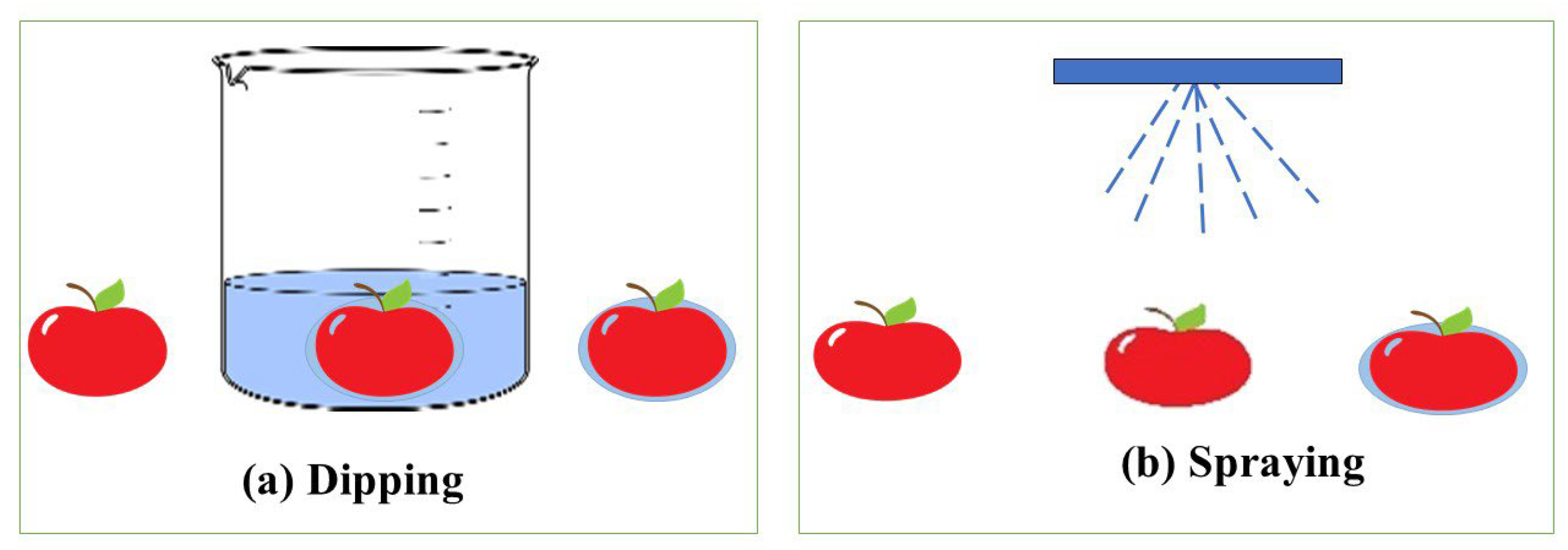Molecules 30 00455 g005