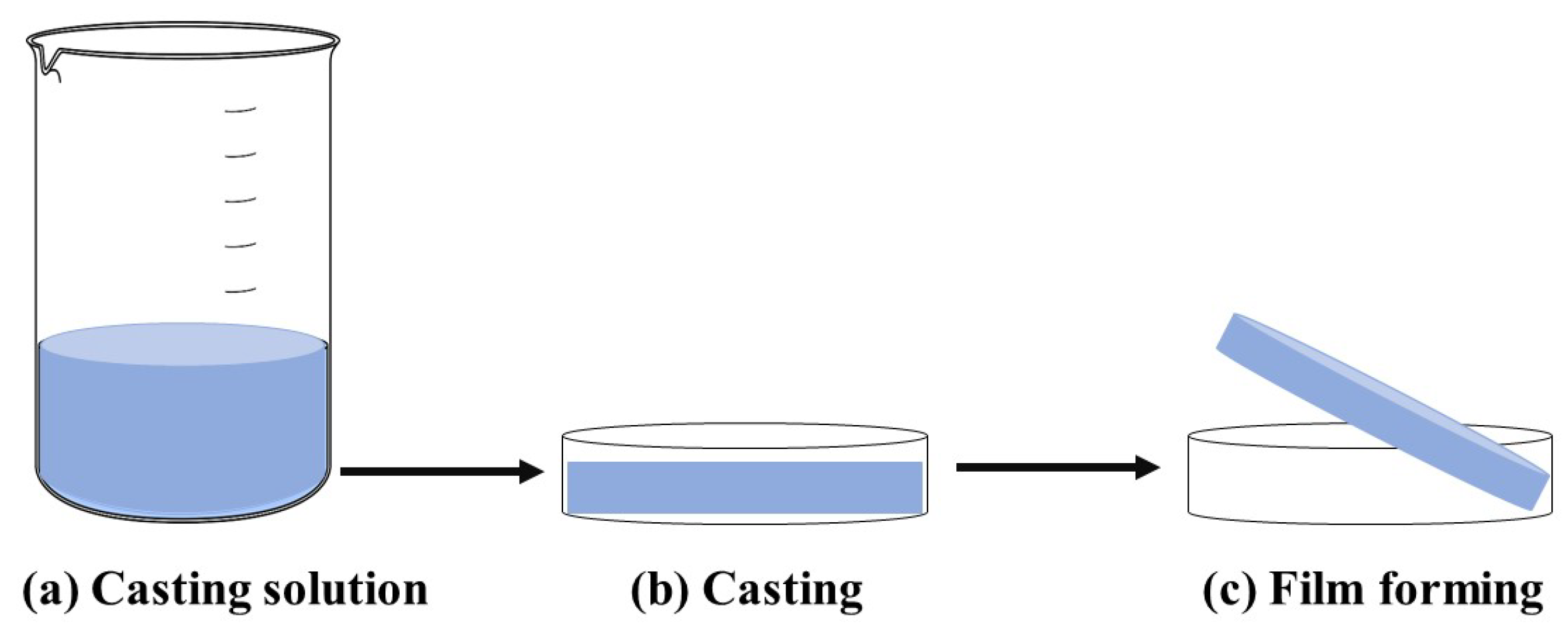 Molecules 30 00455 g006