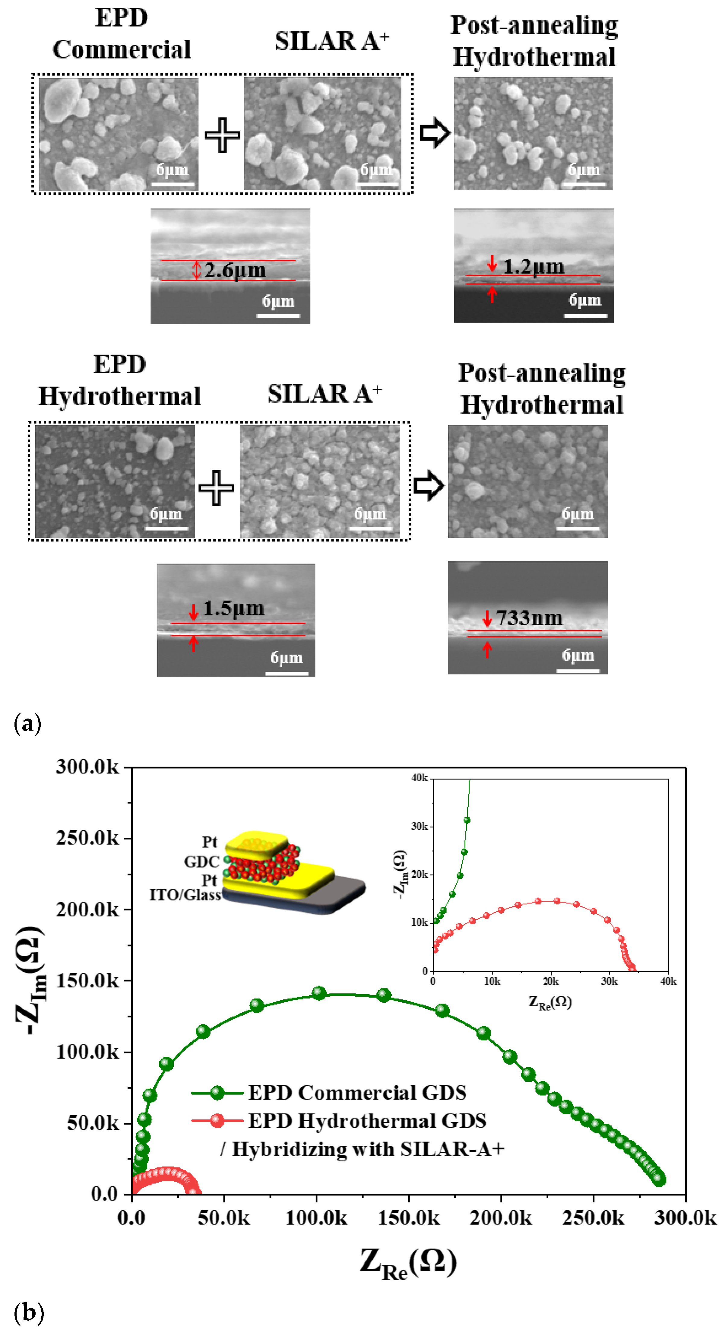 Molecules 30 00456 g006