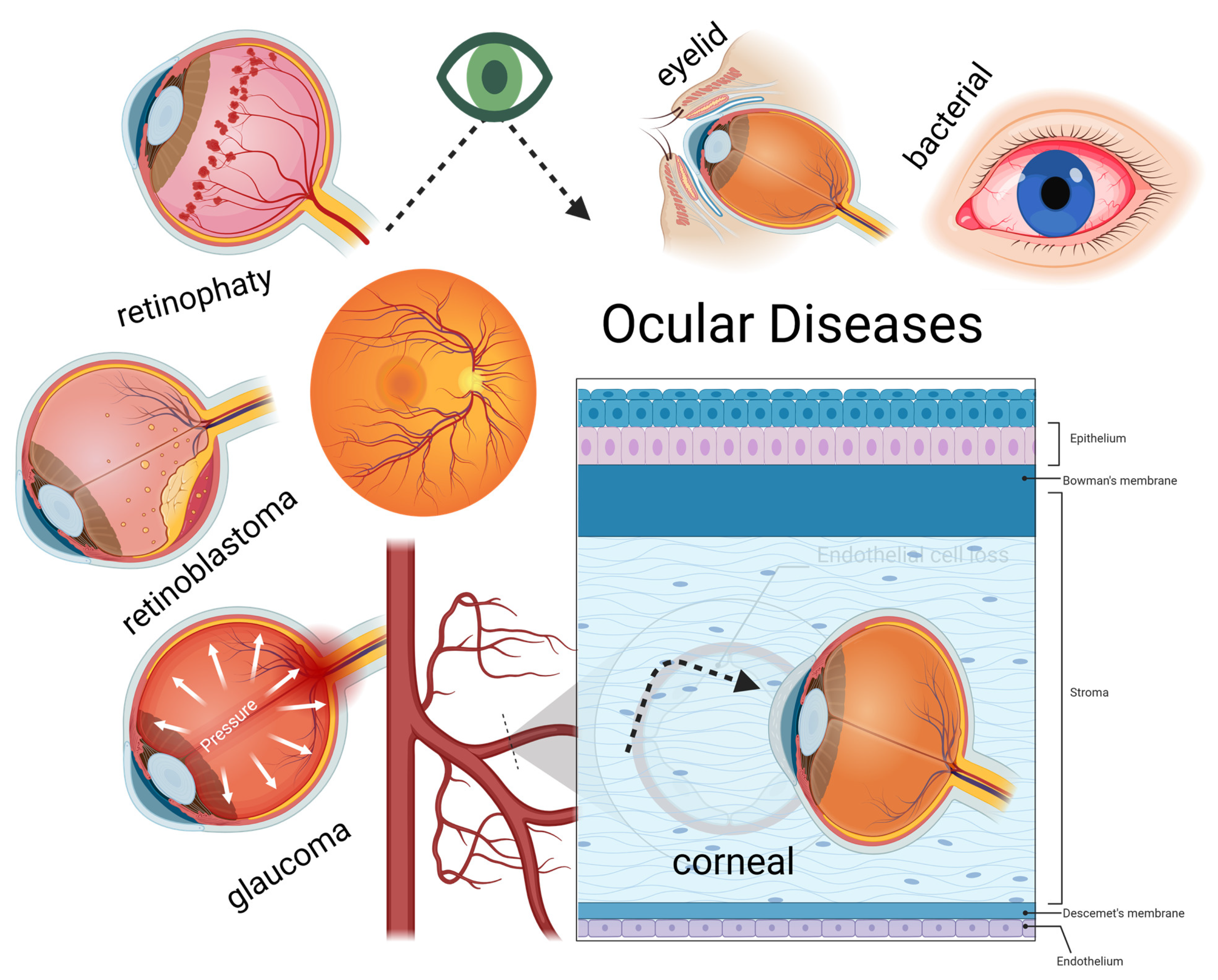 Molecules 30 00457 g001