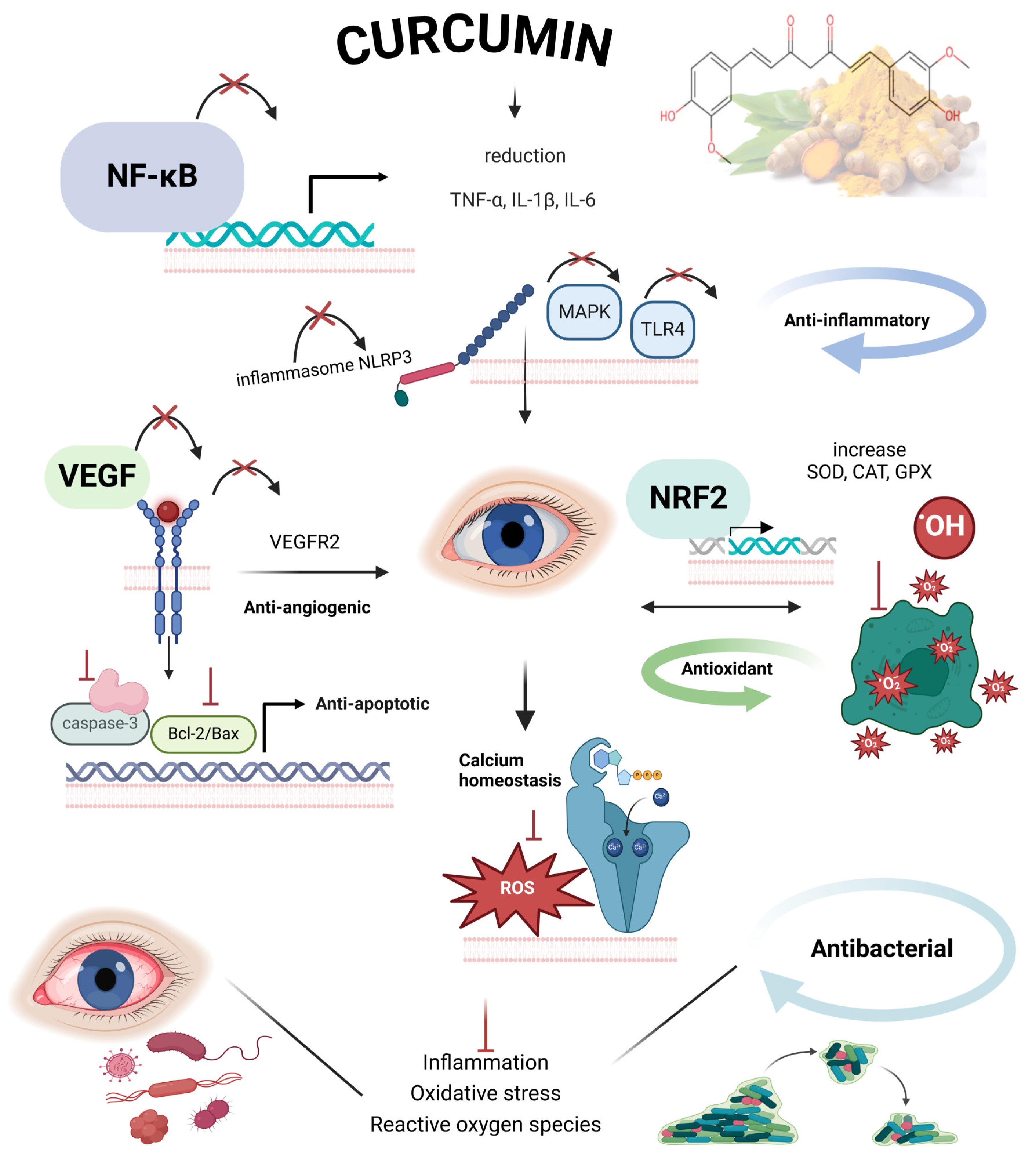 Molecules 30 00457 g002