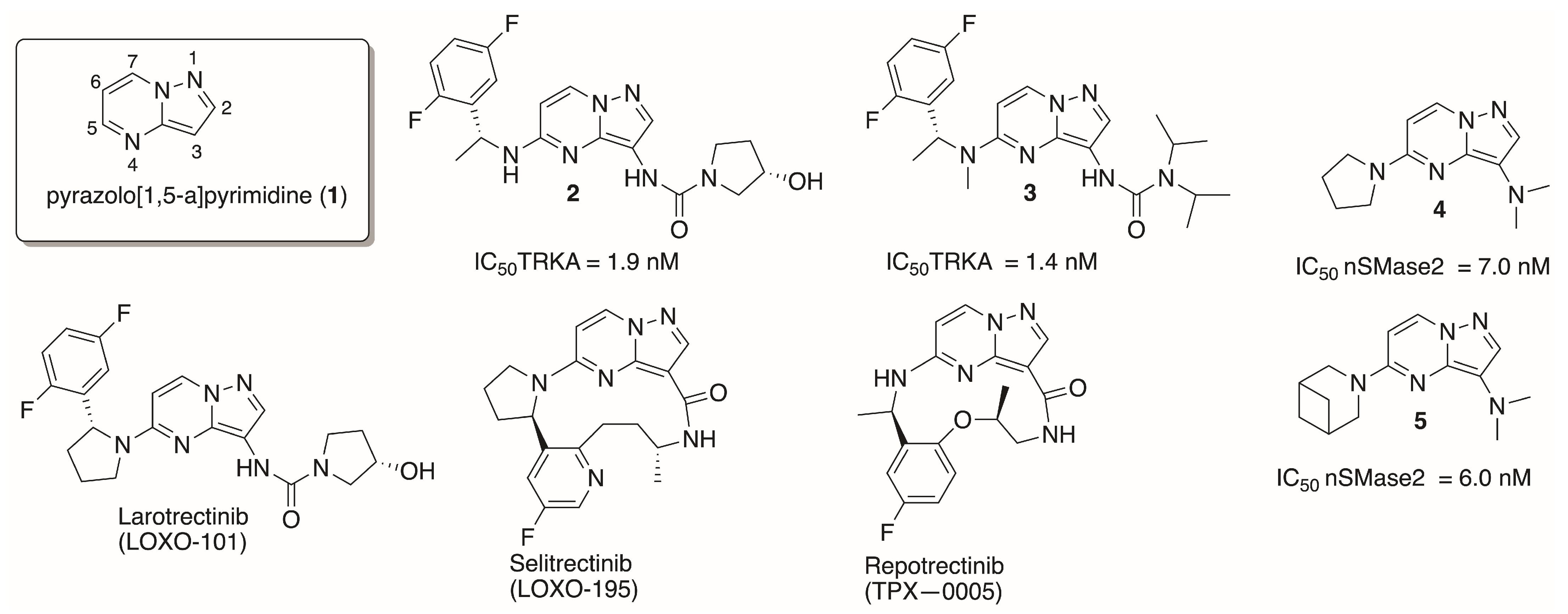 Molecules 30 00458 g001