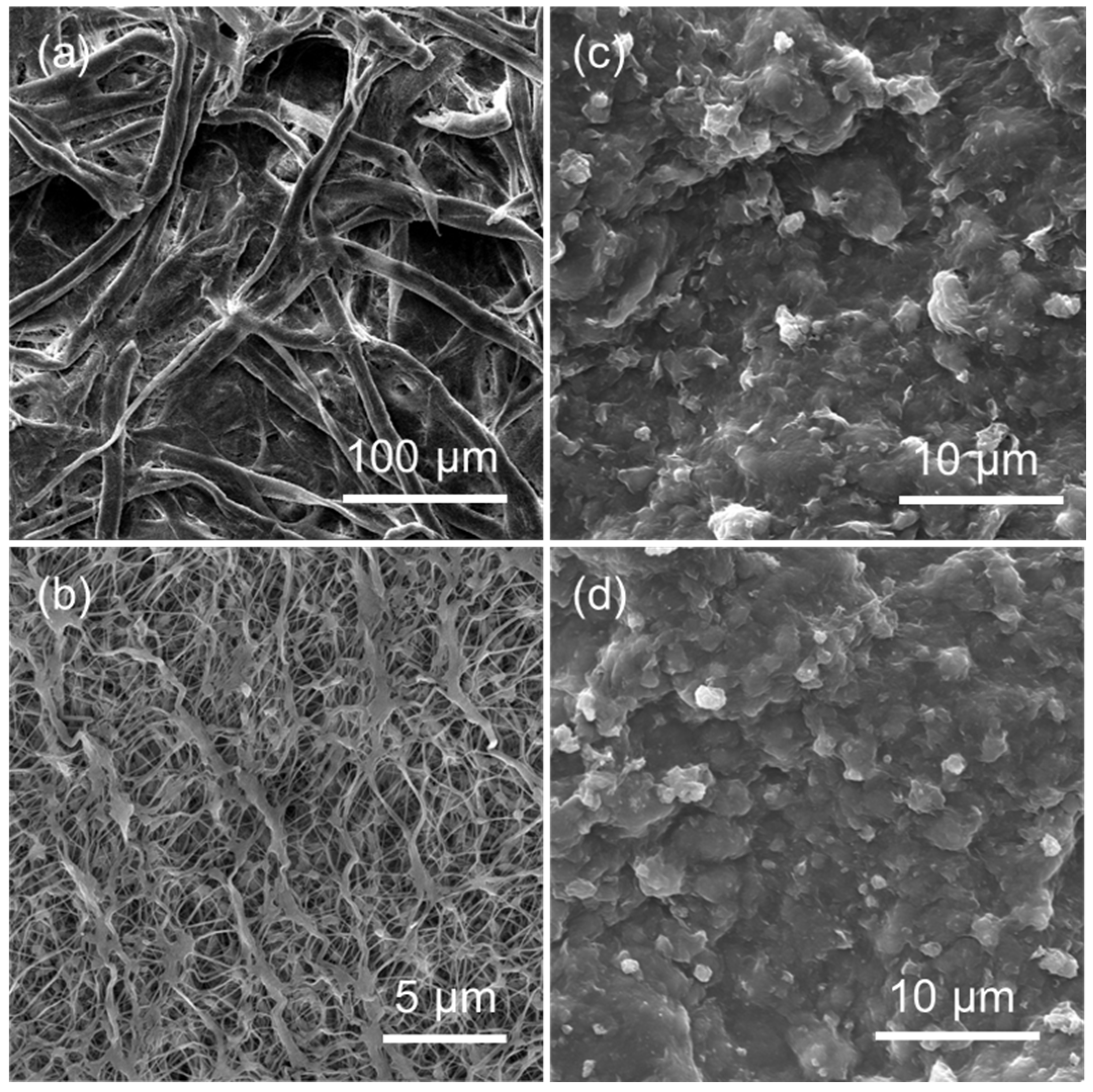 Molecules 30 00463 g007