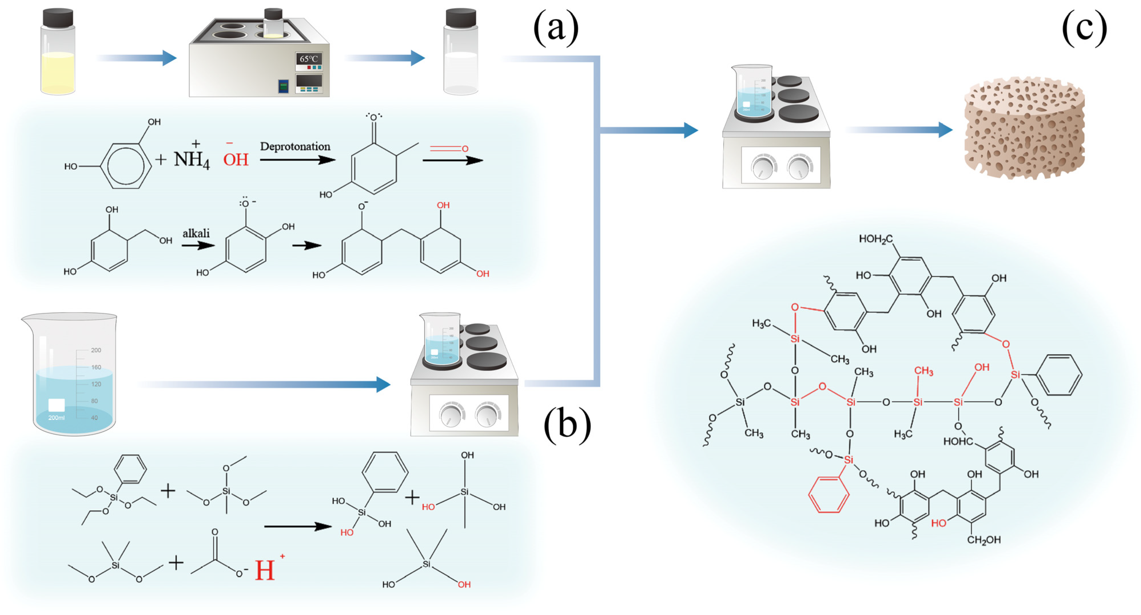 Molecules 30 00464 g001