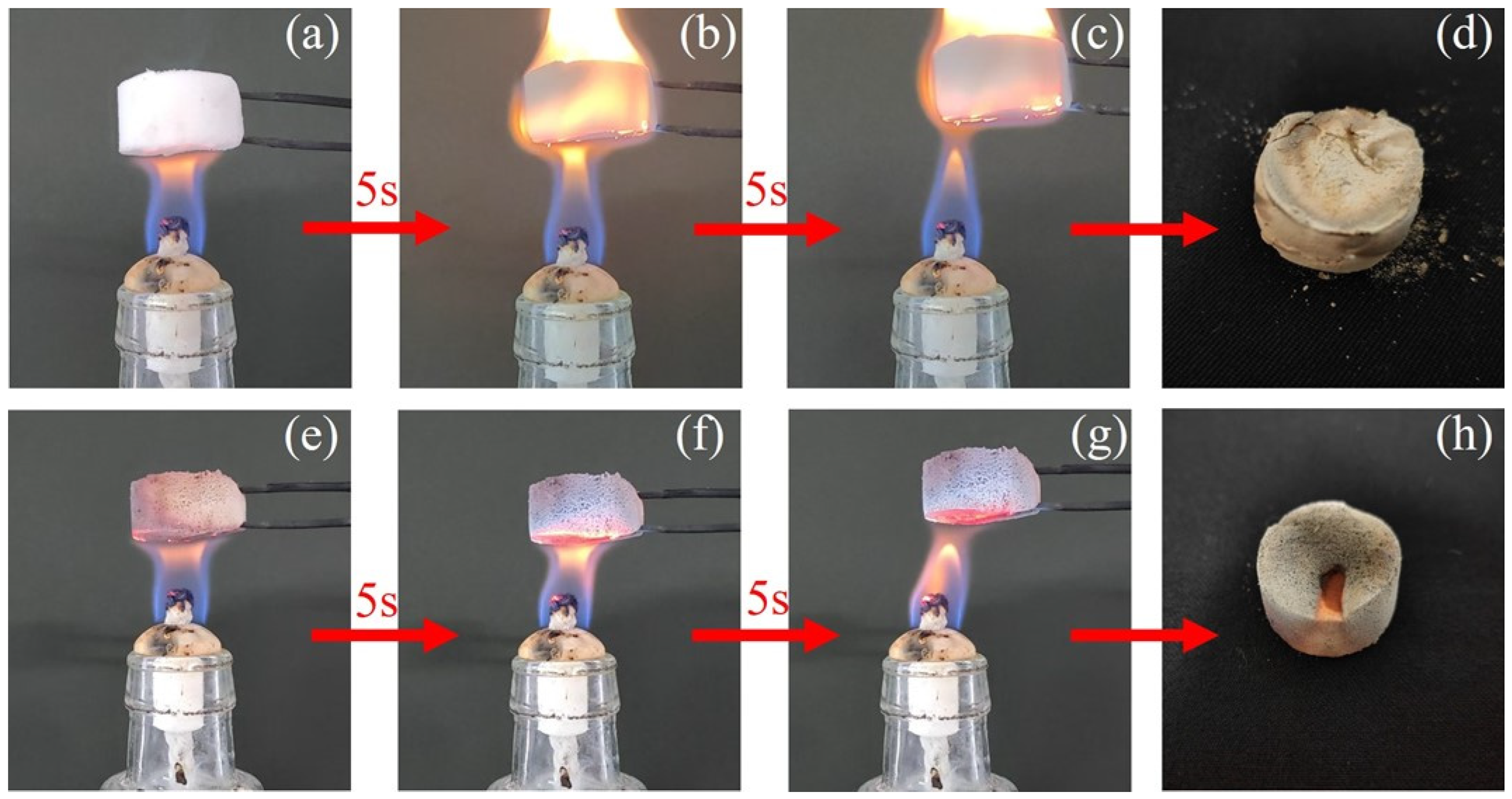 Molecules 30 00464 g008