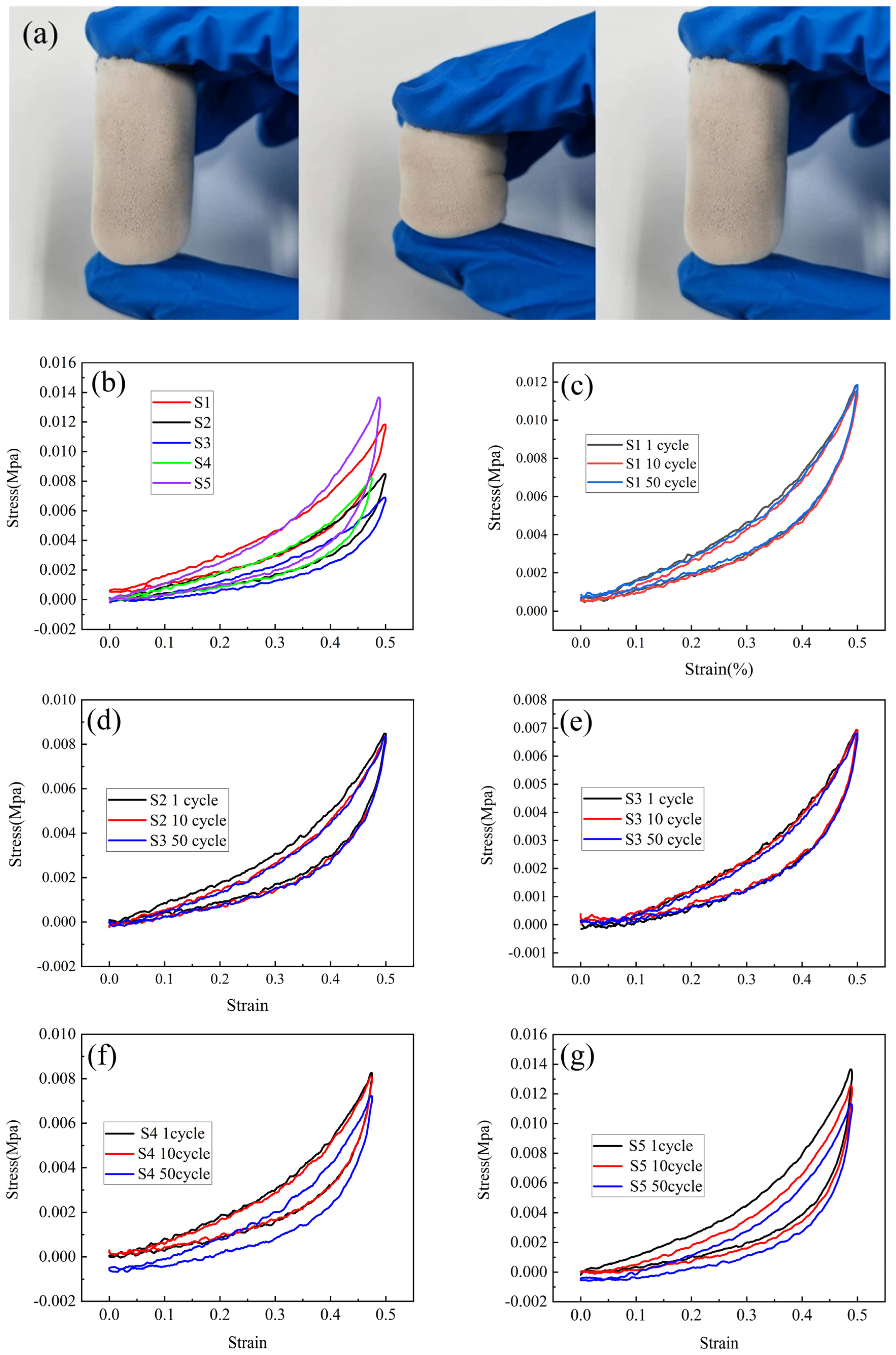 Molecules 30 00464 g010
