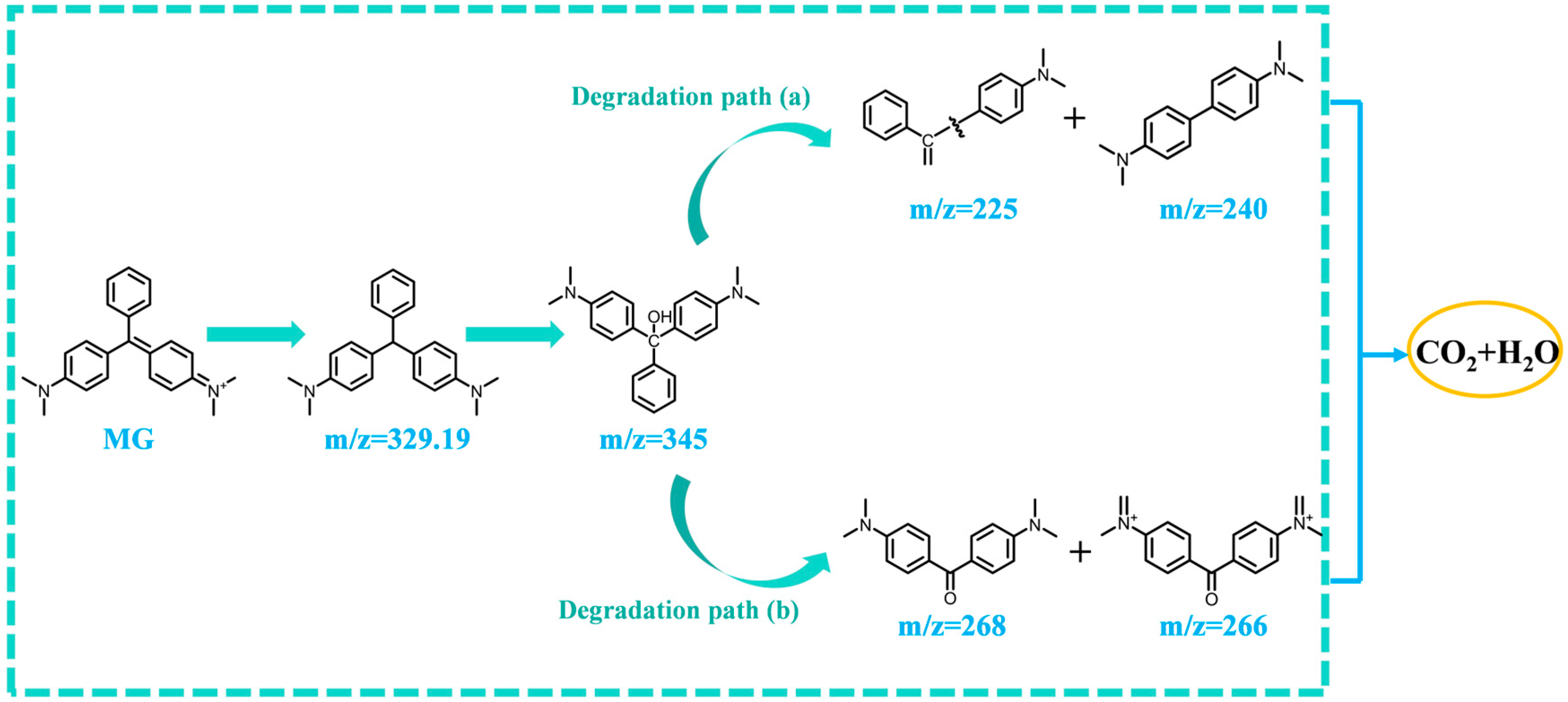Molecules 30 00466 g005