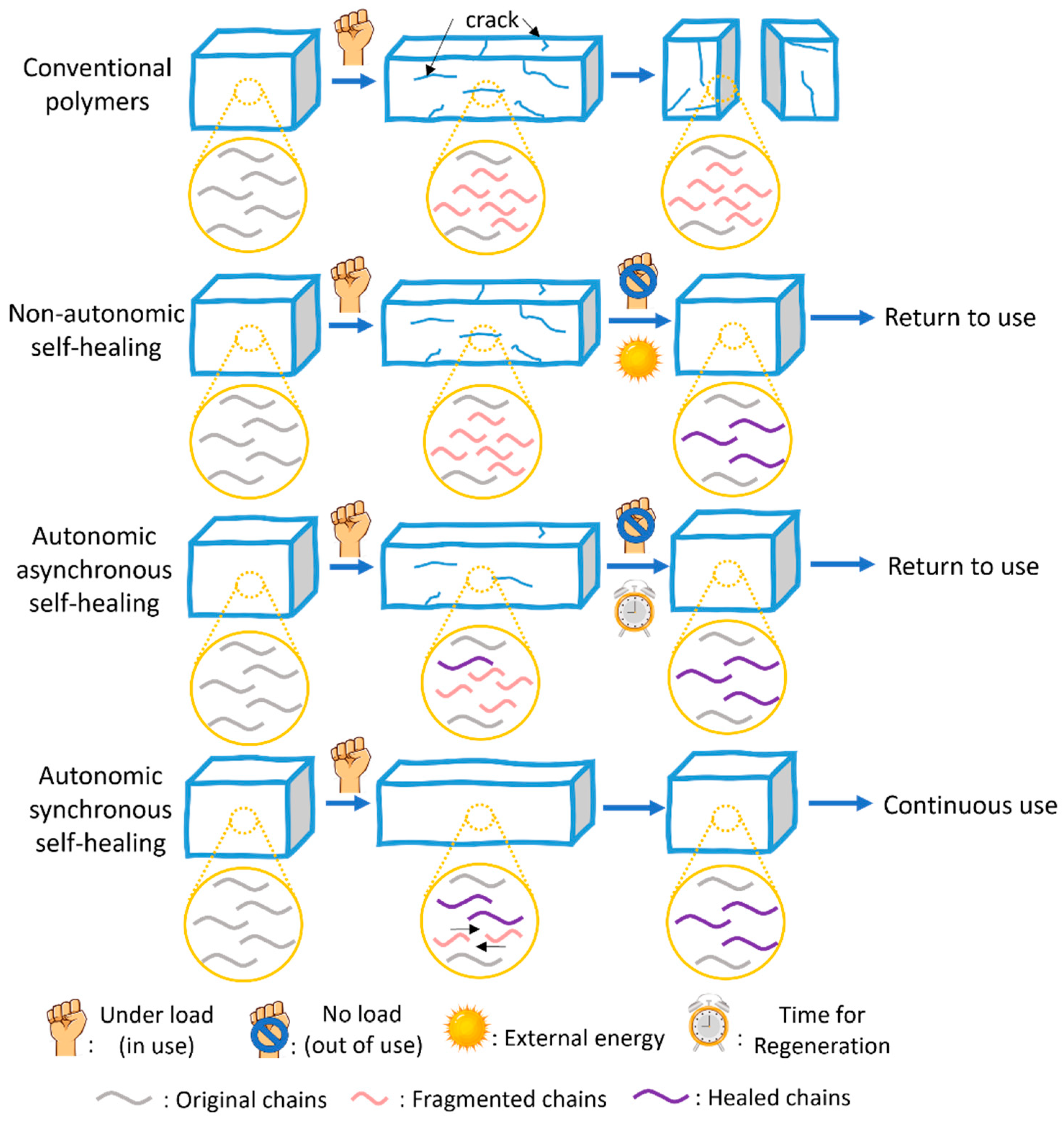 Molecules 30 00469 g001