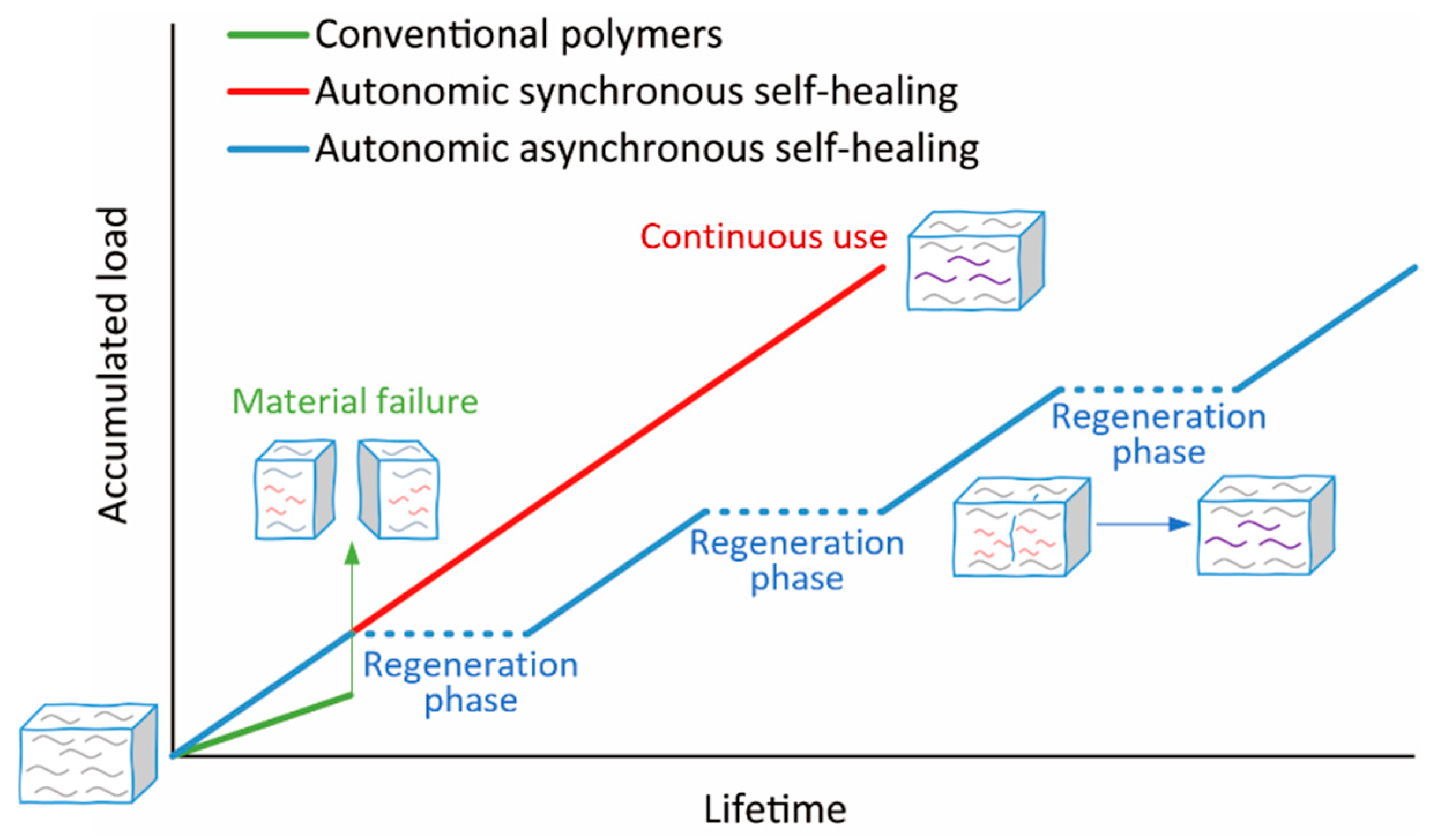 Molecules 30 00469 g002