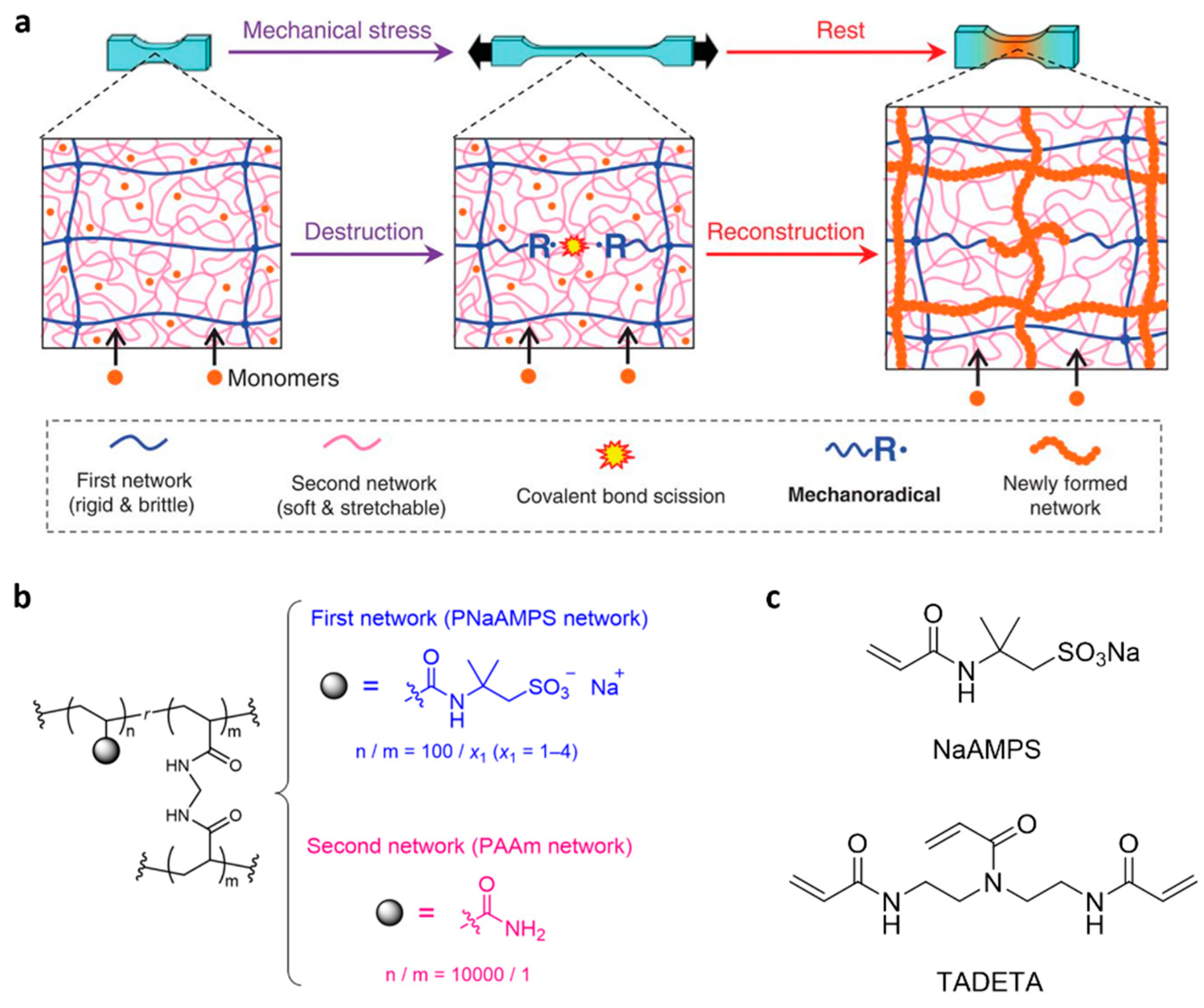 Molecules 30 00469 g004